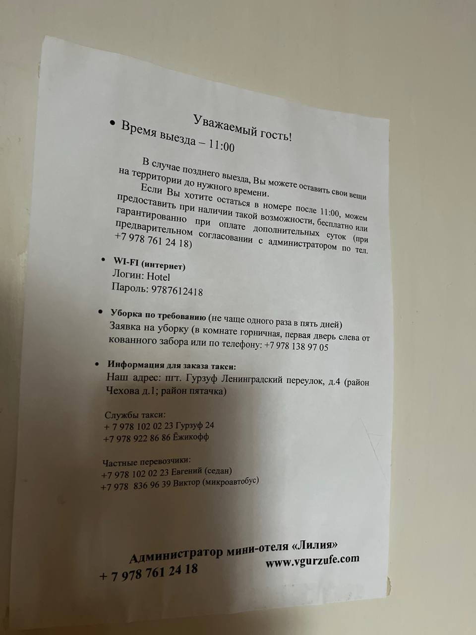 Фото Лилия-1