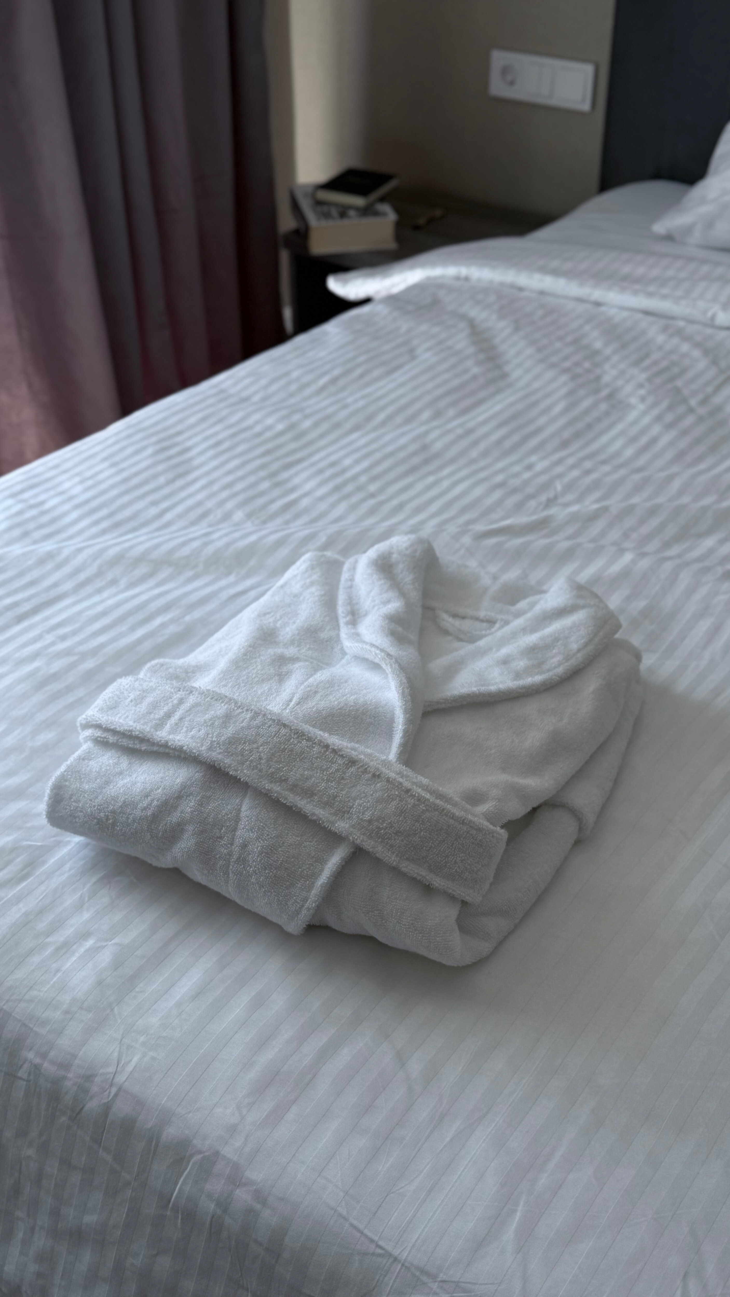 Фото Софитель