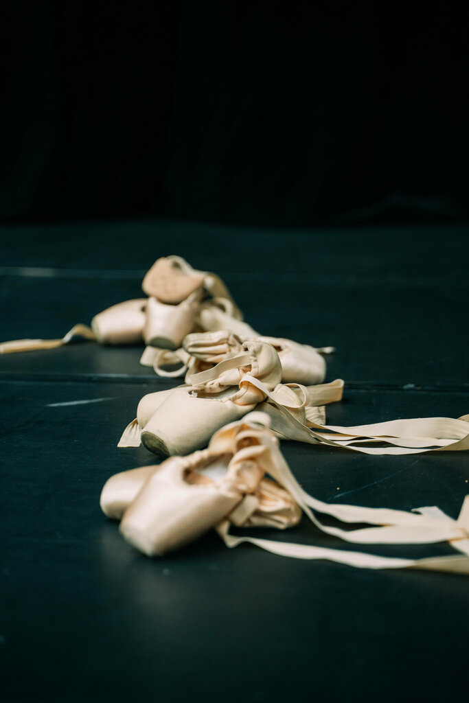 Dance school Center Proballet, Moscow, photo