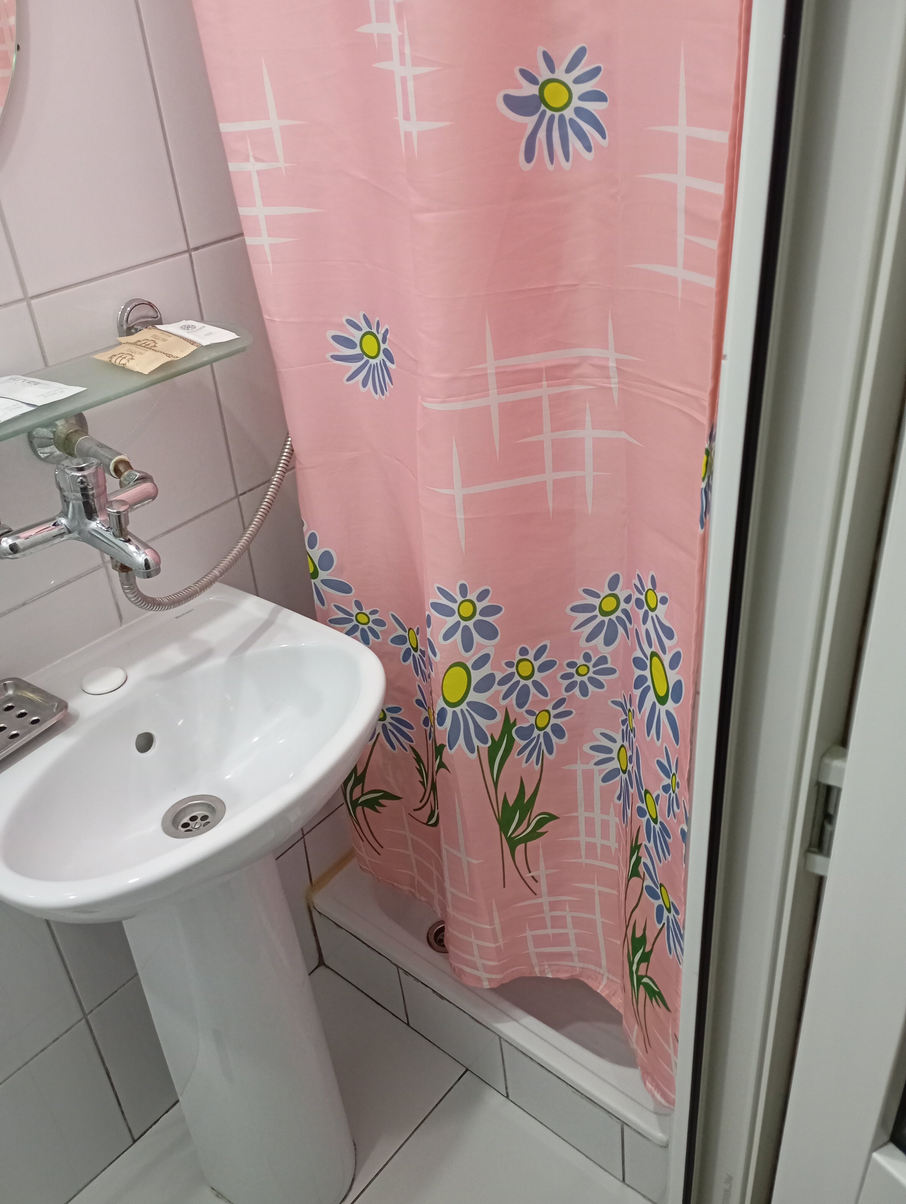 Фото Азалия Мимоза