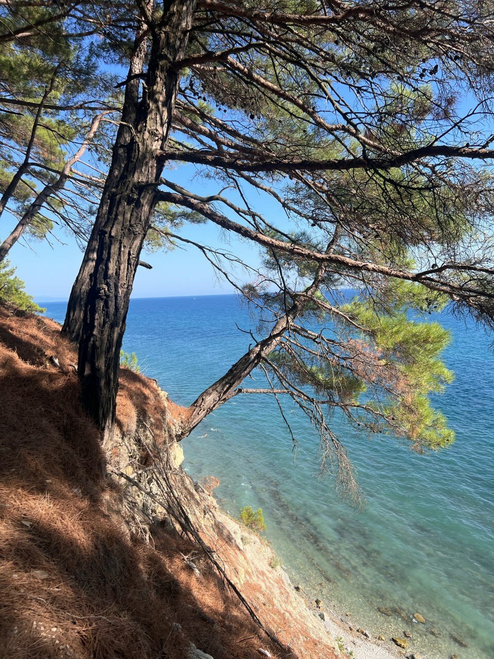 Фото Хуторок