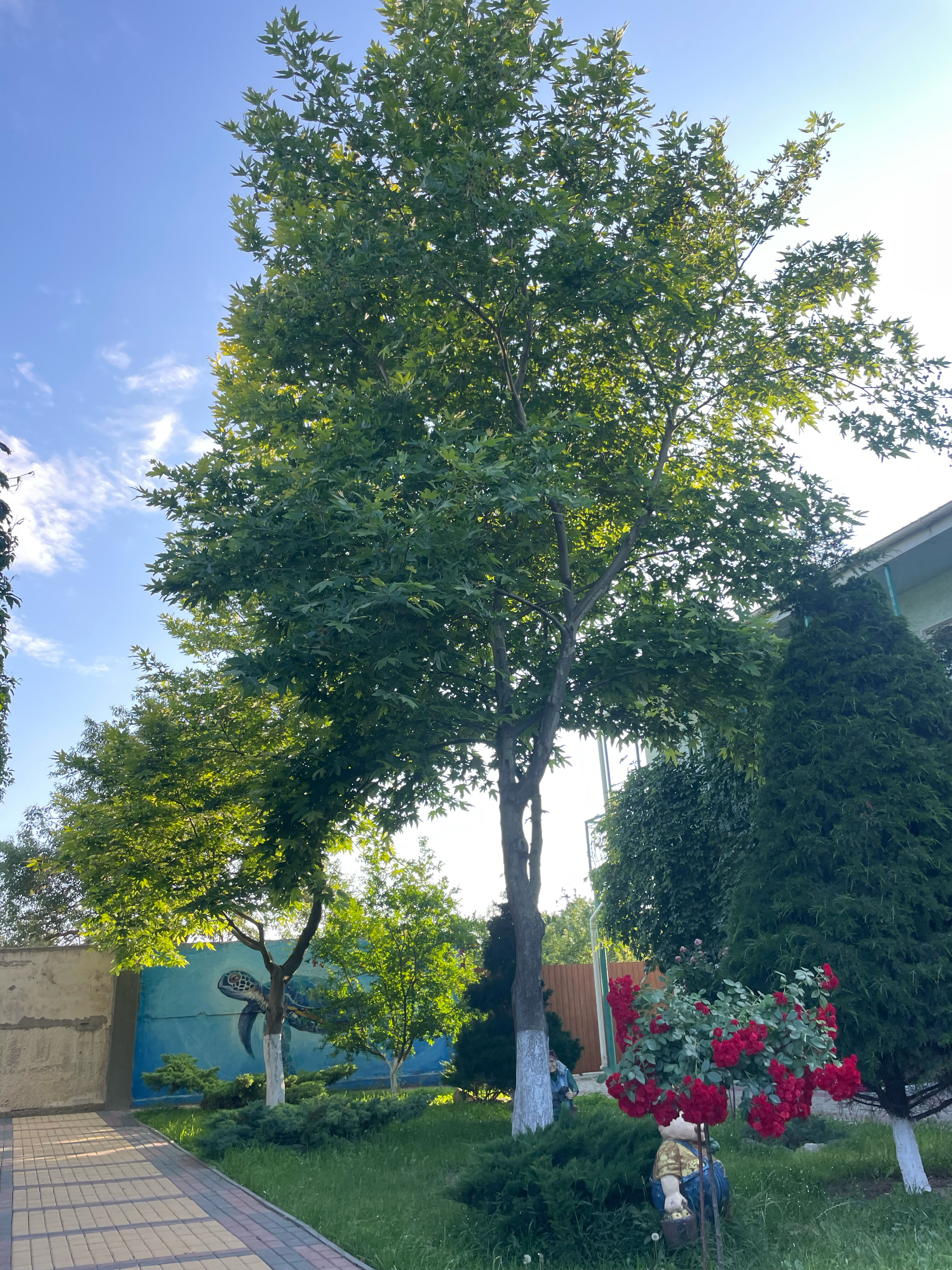 Фото Одиссей