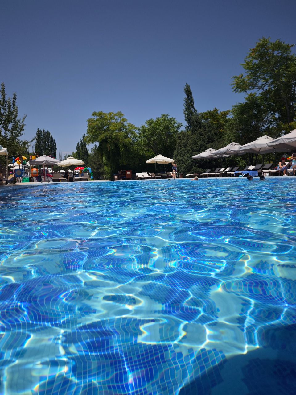 Фото Avenue Park Hotel