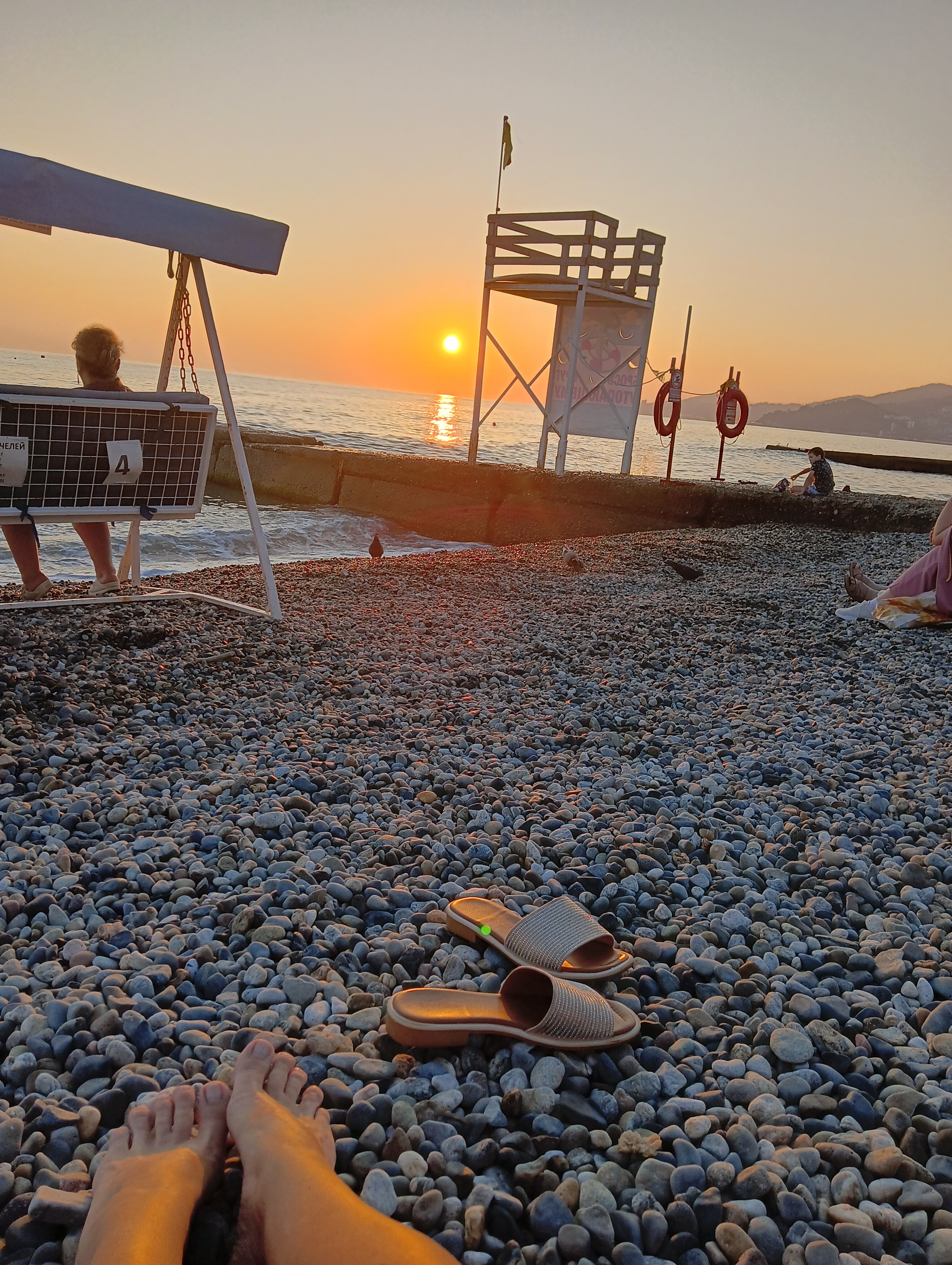 Фото Ромашка