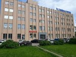 Тайгер Лайон Групп (Bely Kuna Street, 30) ، متعهد النقل