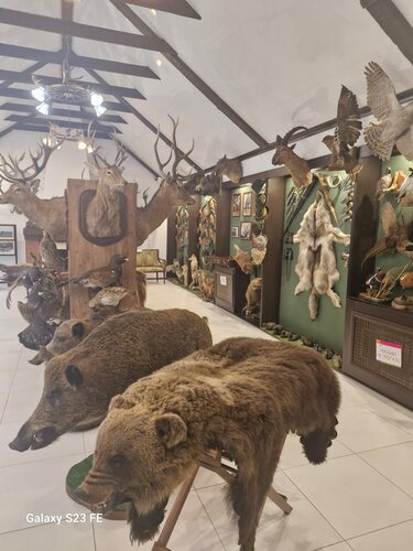 Museum Историко-этнографический музей охоты, Voronezh Oblast, photo