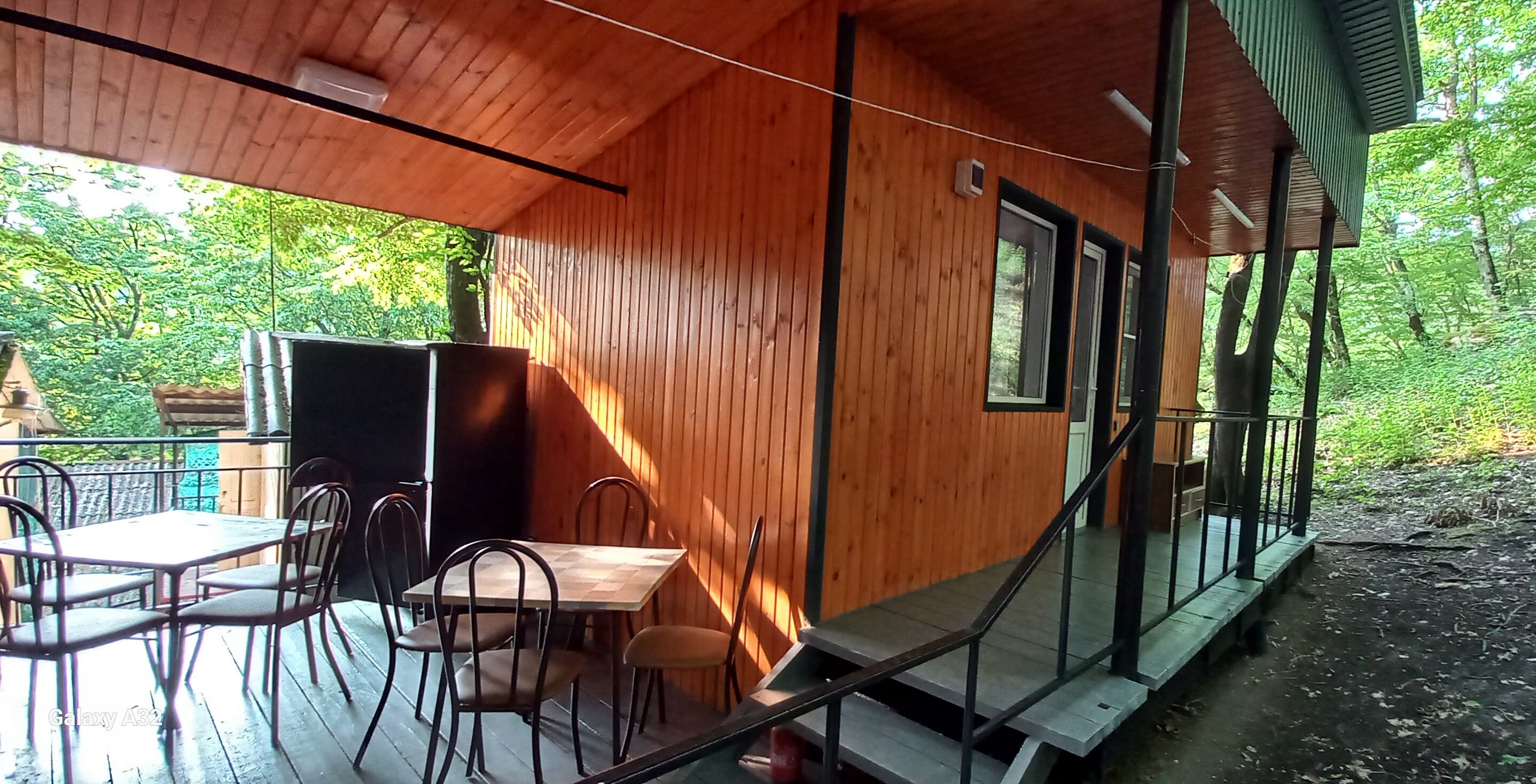 Фото Аммонит