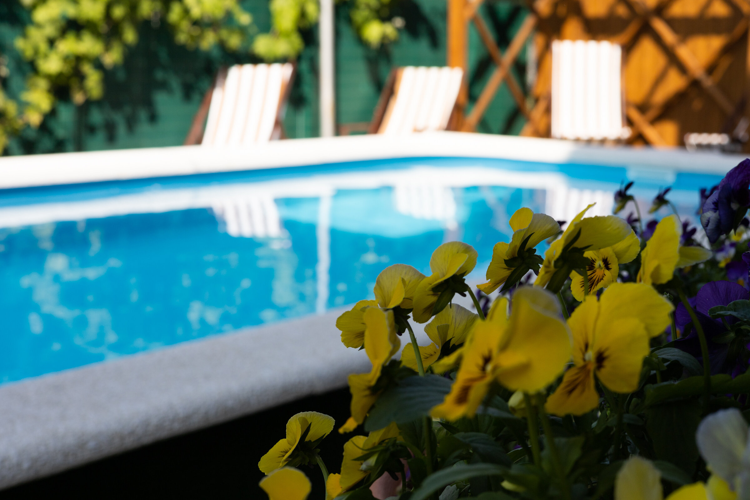 Фото Премьер