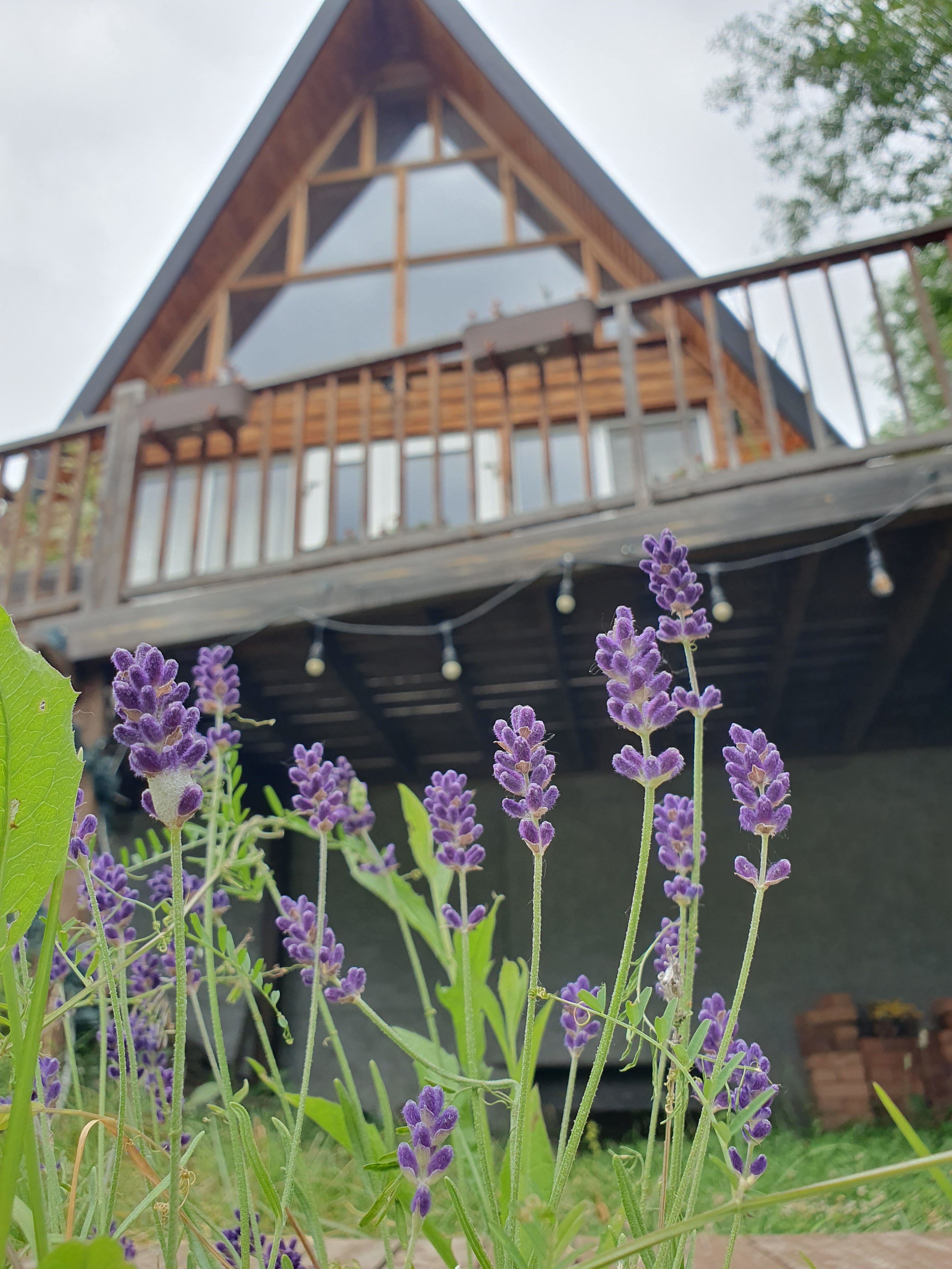 Фото Дом Рохсан