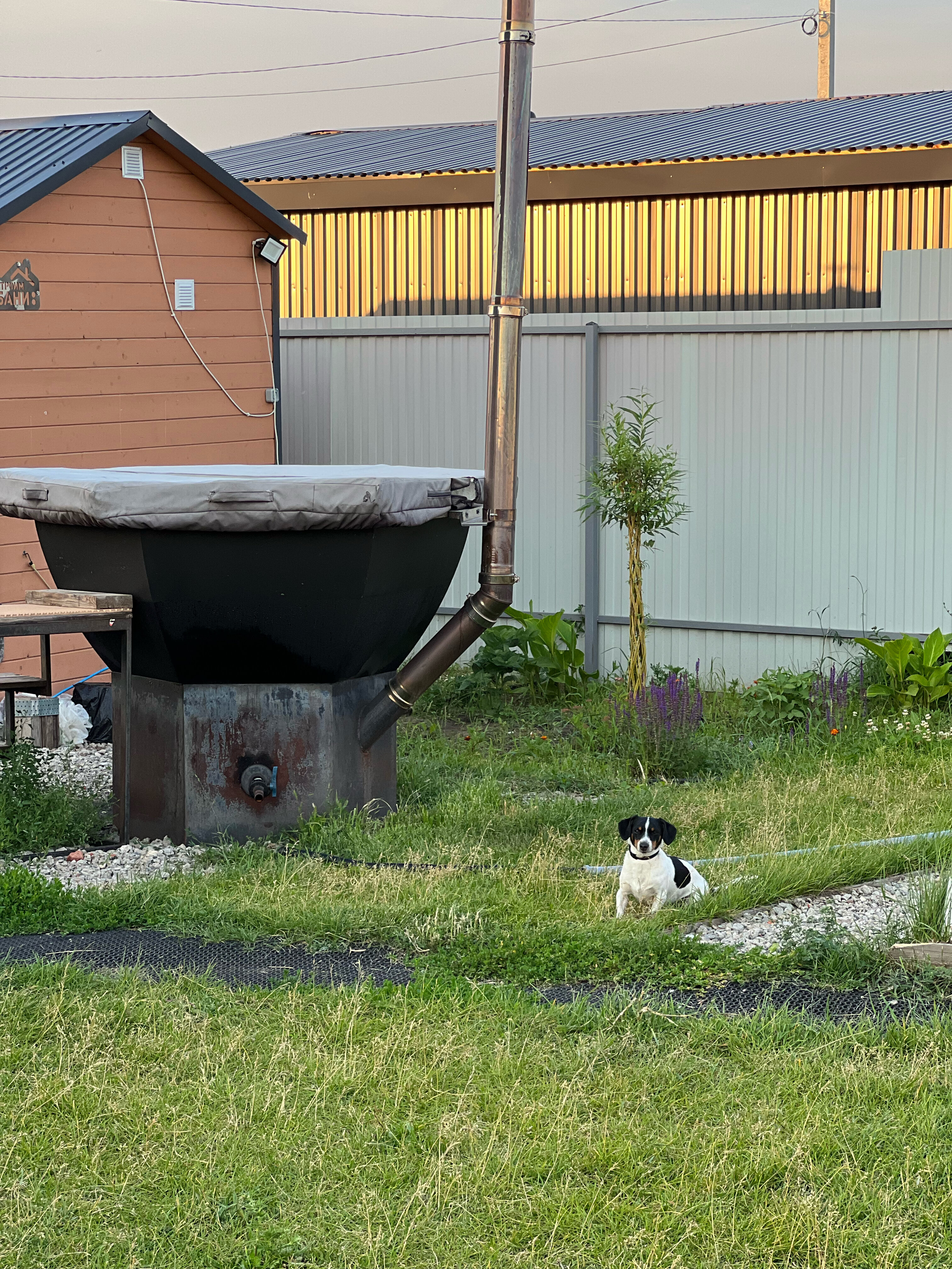 Фото 113037952248