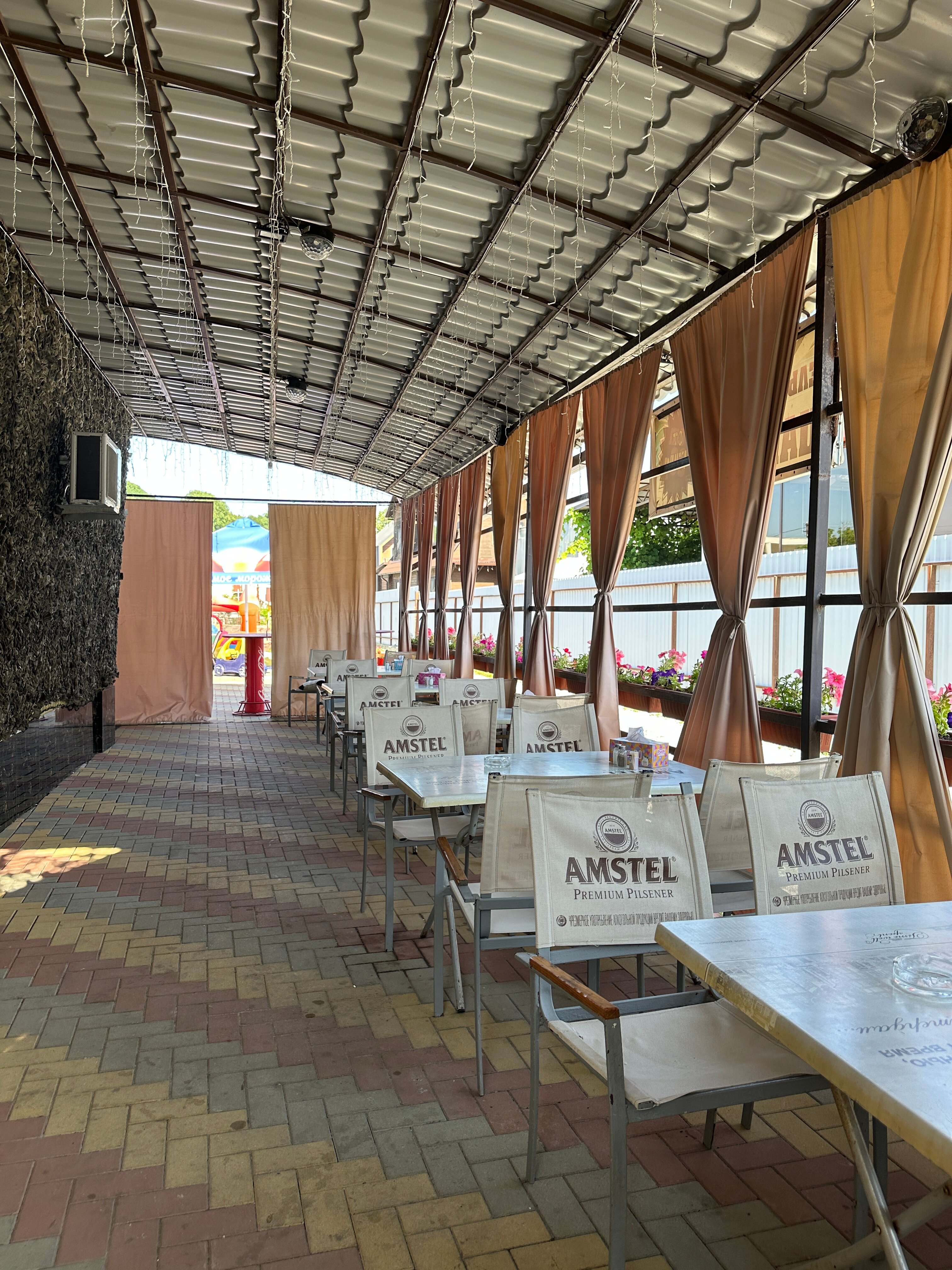 Фото Белый медведь