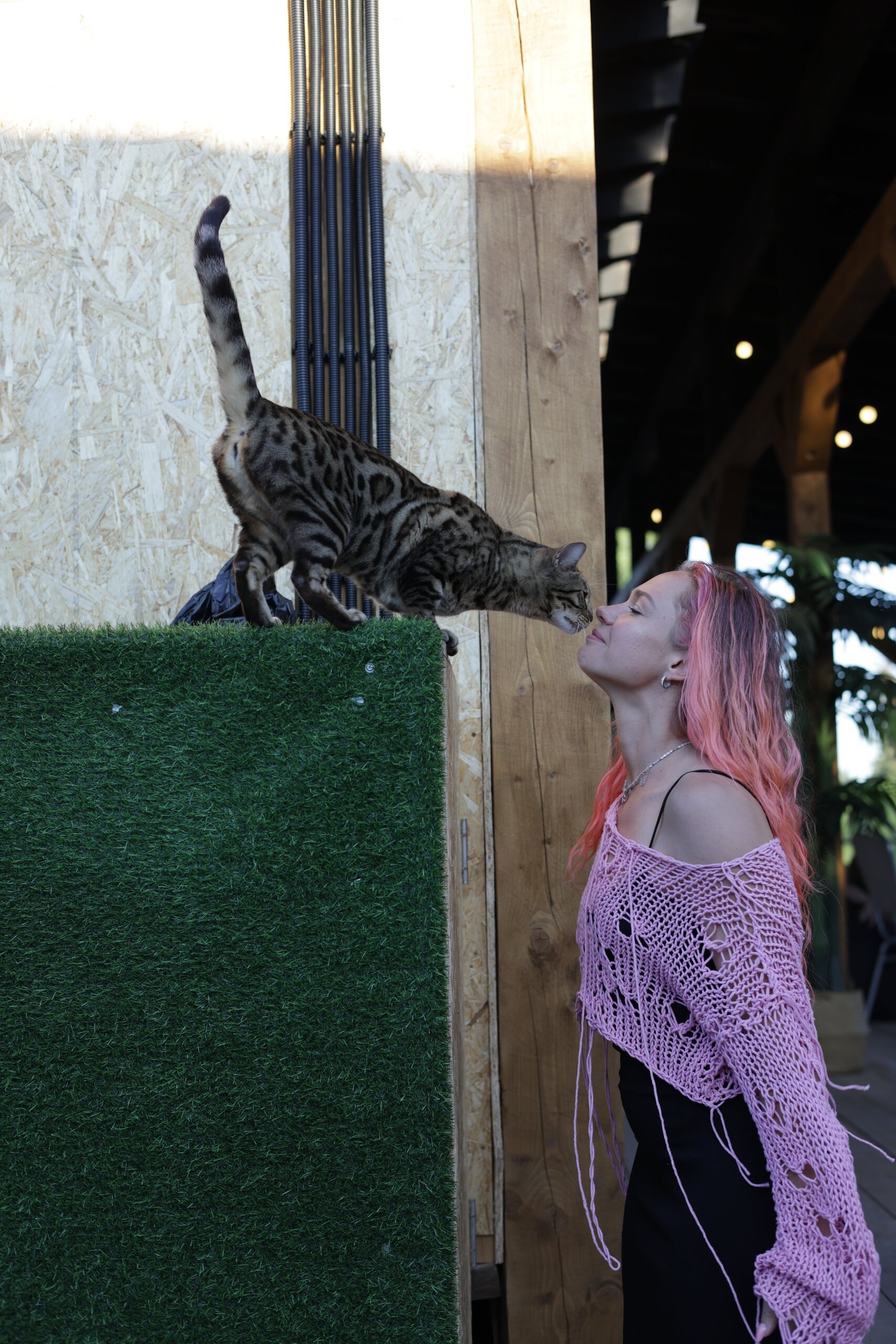 Фото Зеленино