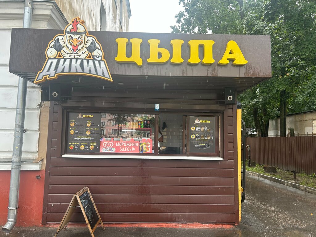 Cafe Дикий Цыпа, Smolensk, photo