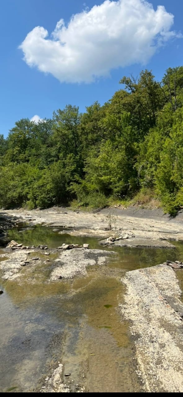 Фото Поляна Убинская