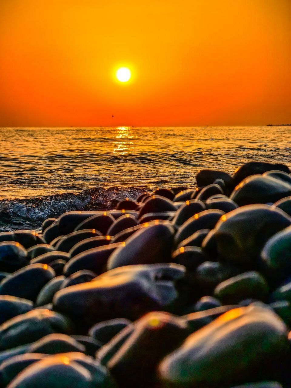 Фото Особенный