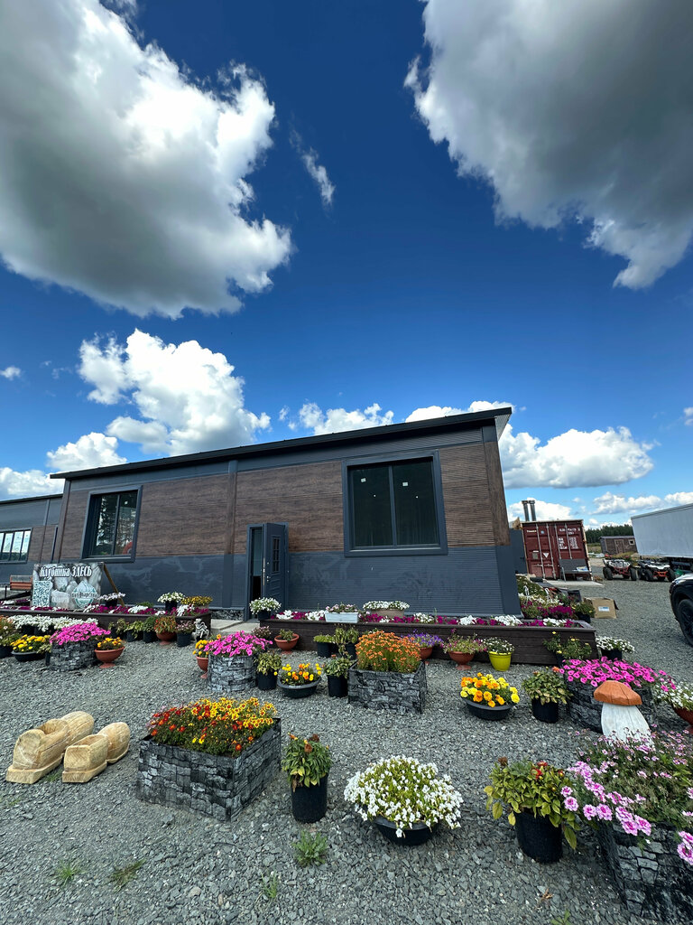 Kənd təsərrüfatı müəssisəsi Вкус Карелии, Kareliya Respublikası, foto