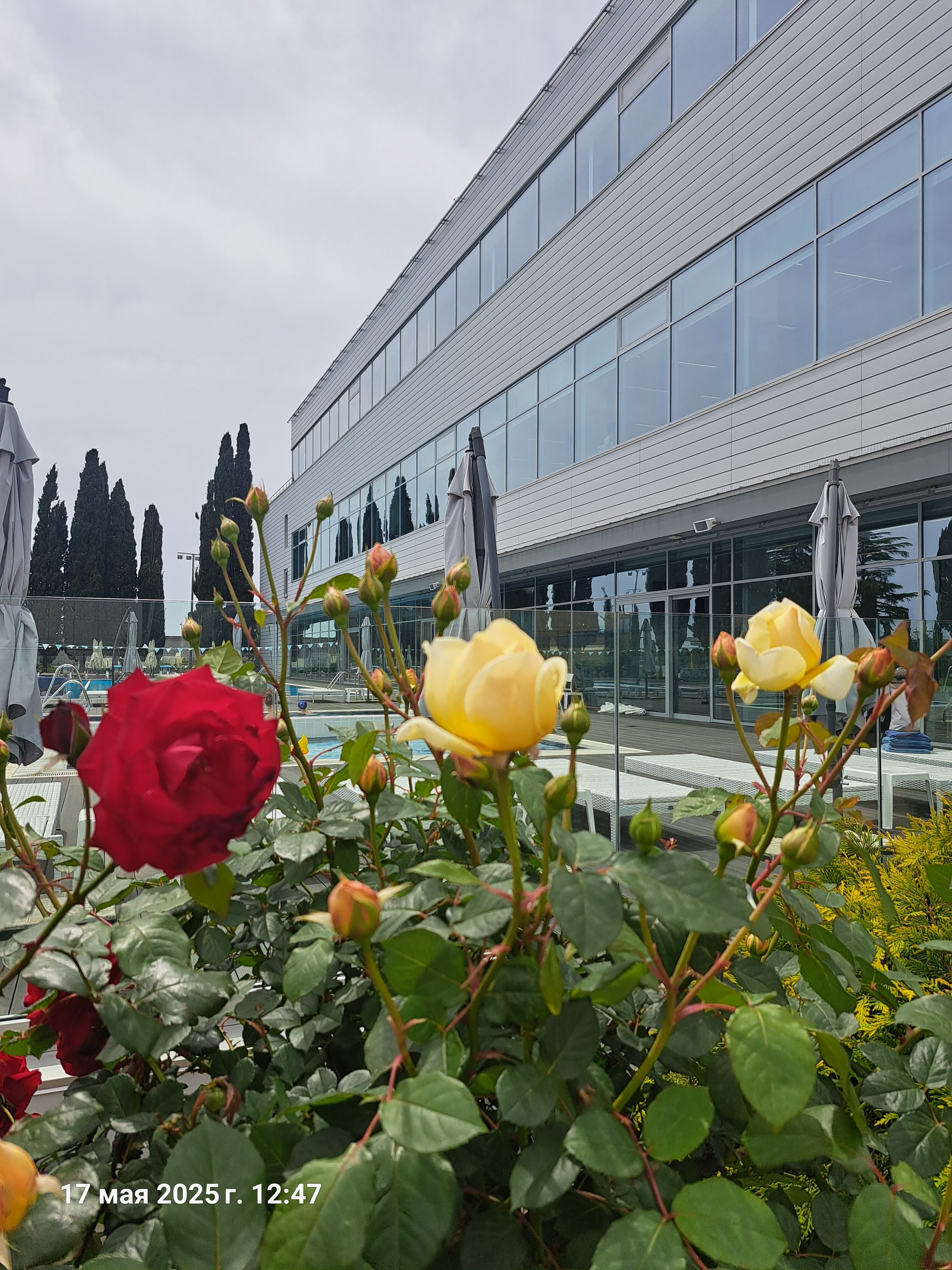 Фото Си-отель