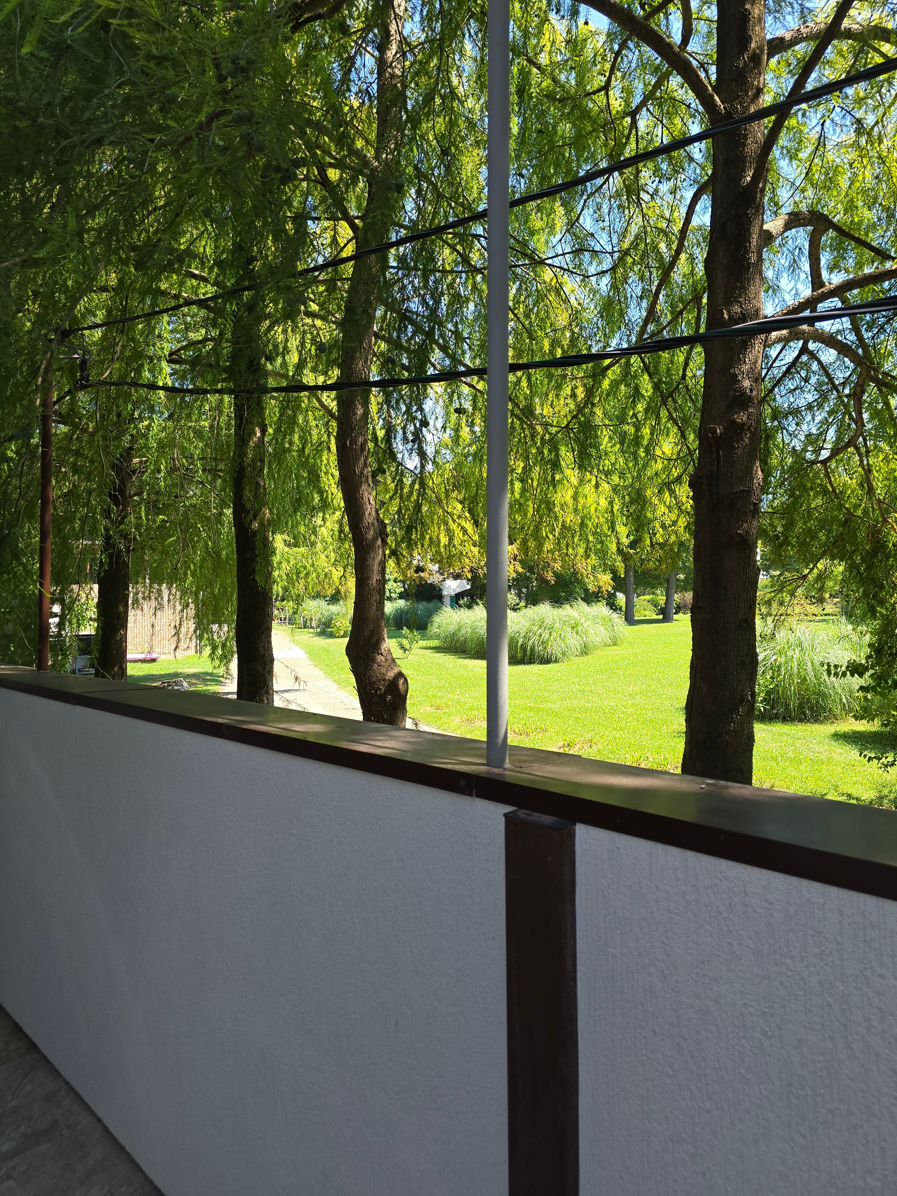 Фото Голден Норрис