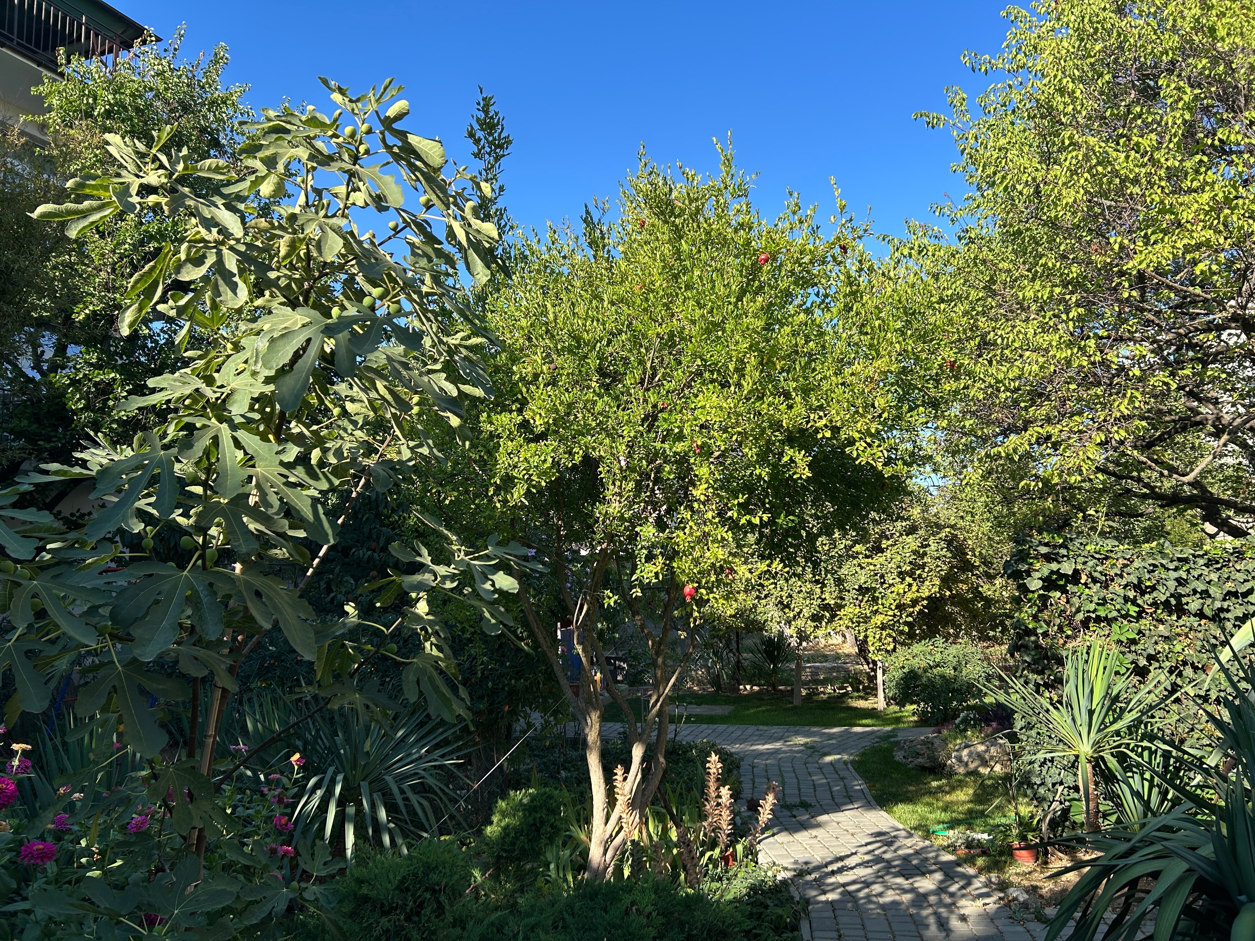 Фото Солнечная Ривьера