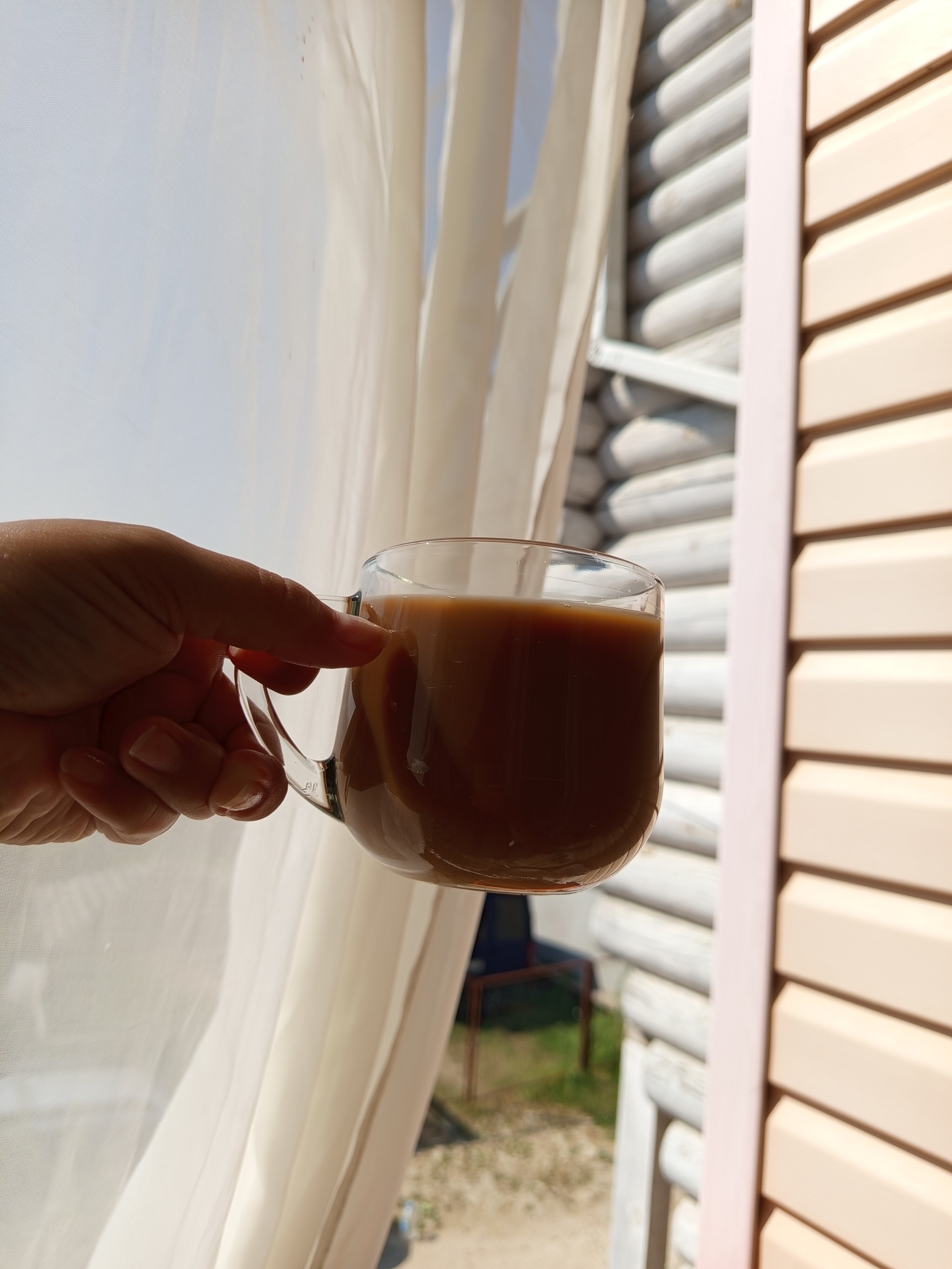 Фото Магнолия