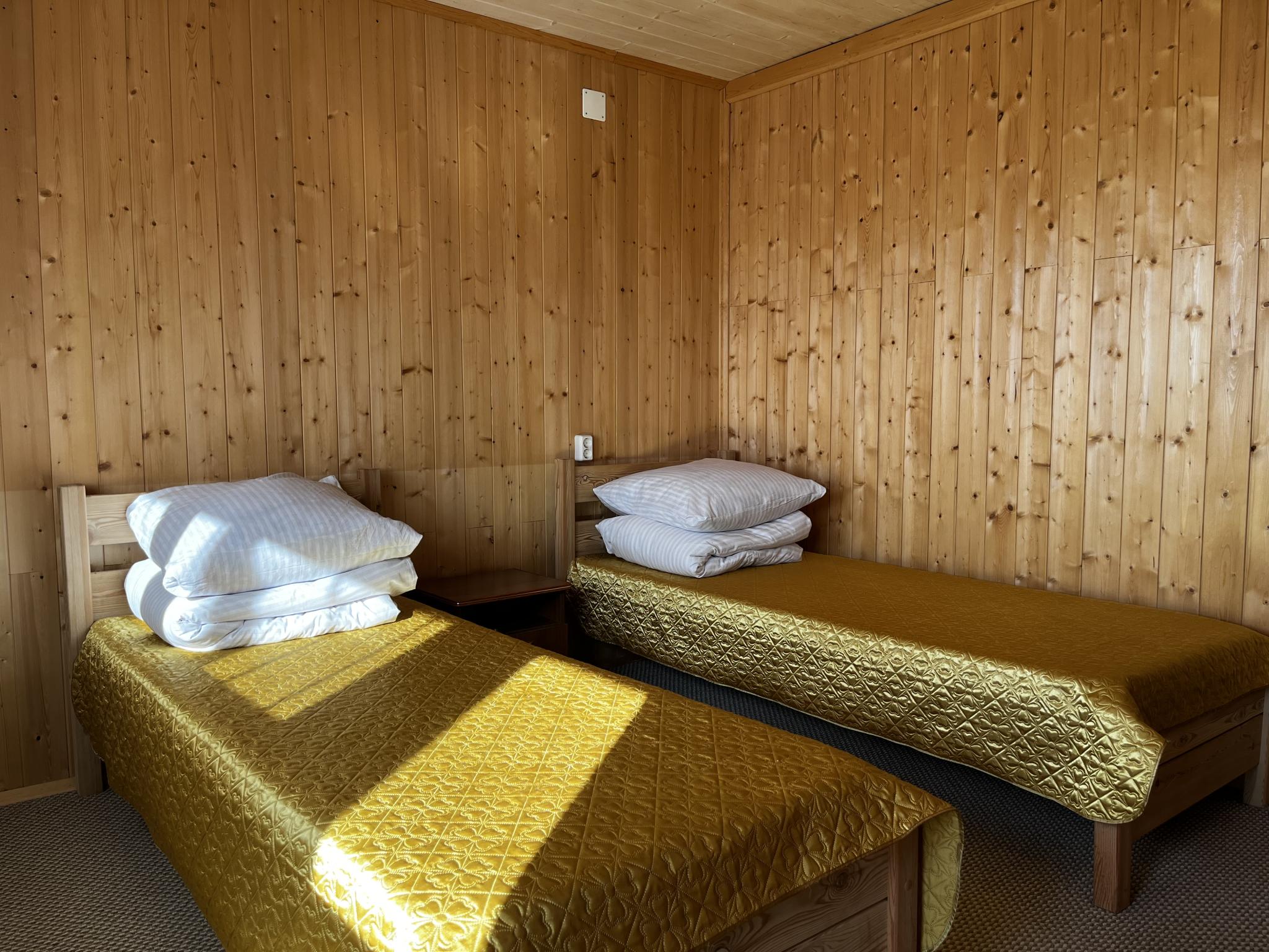 Фото Ёлочка