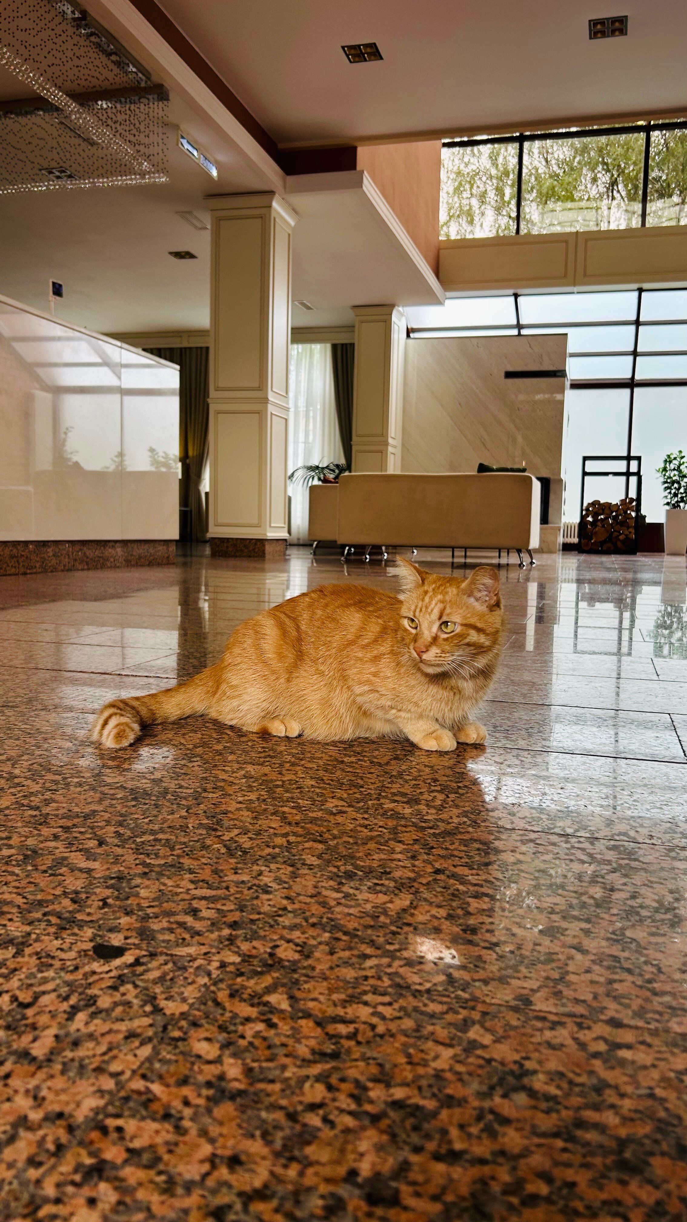 Фото Пушкин