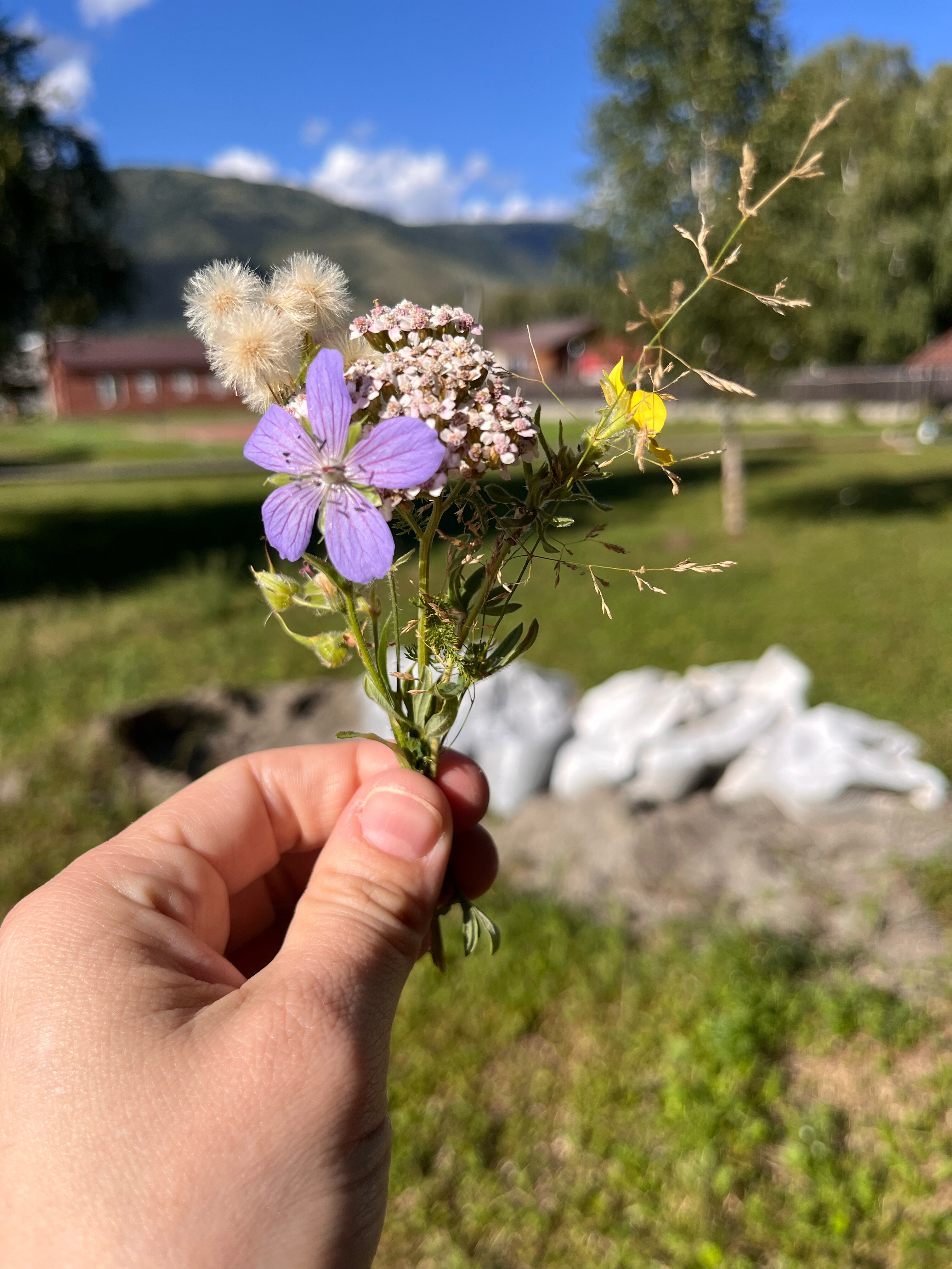 Фото Благодать