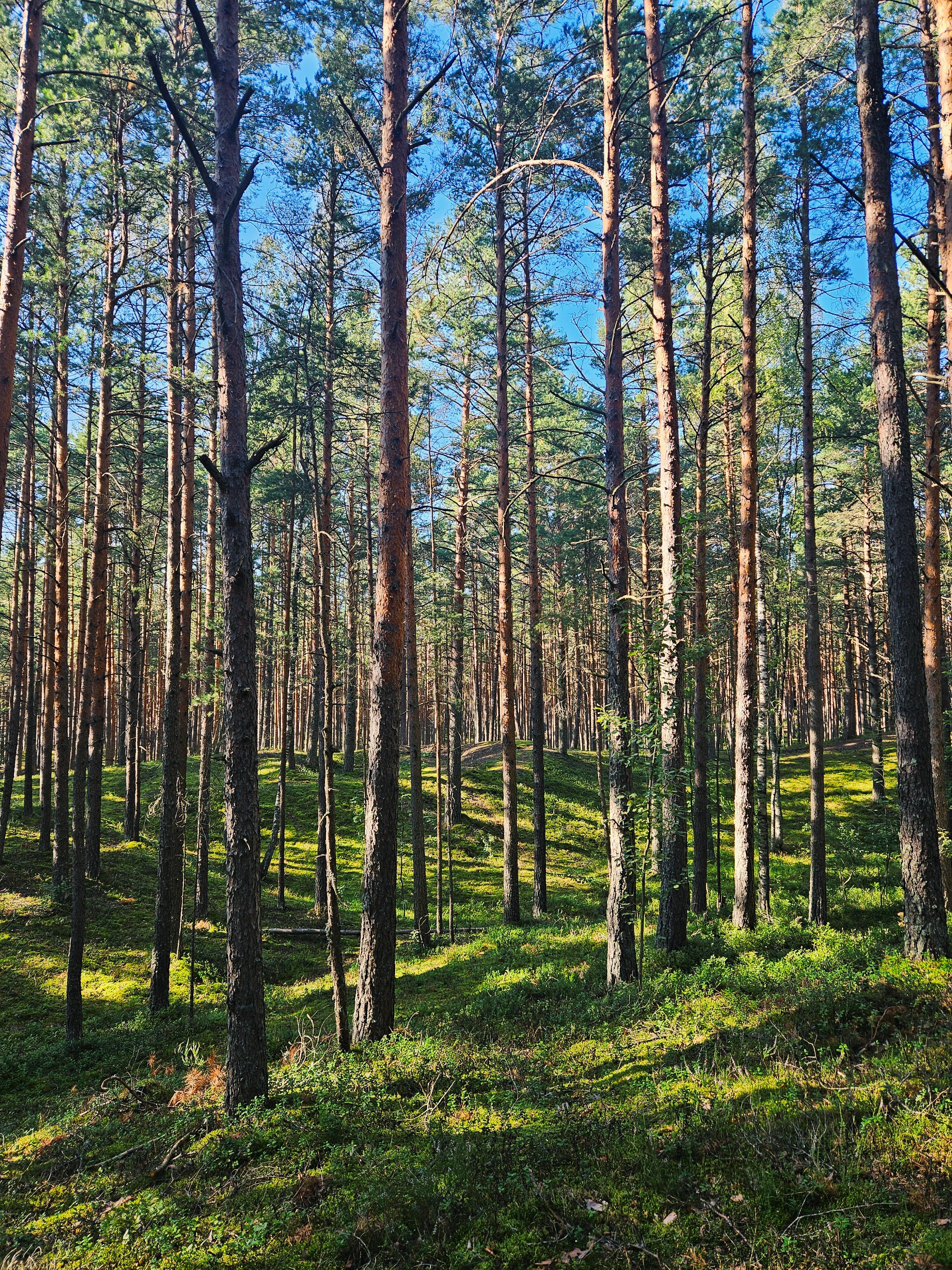 Фото Wind hunters station