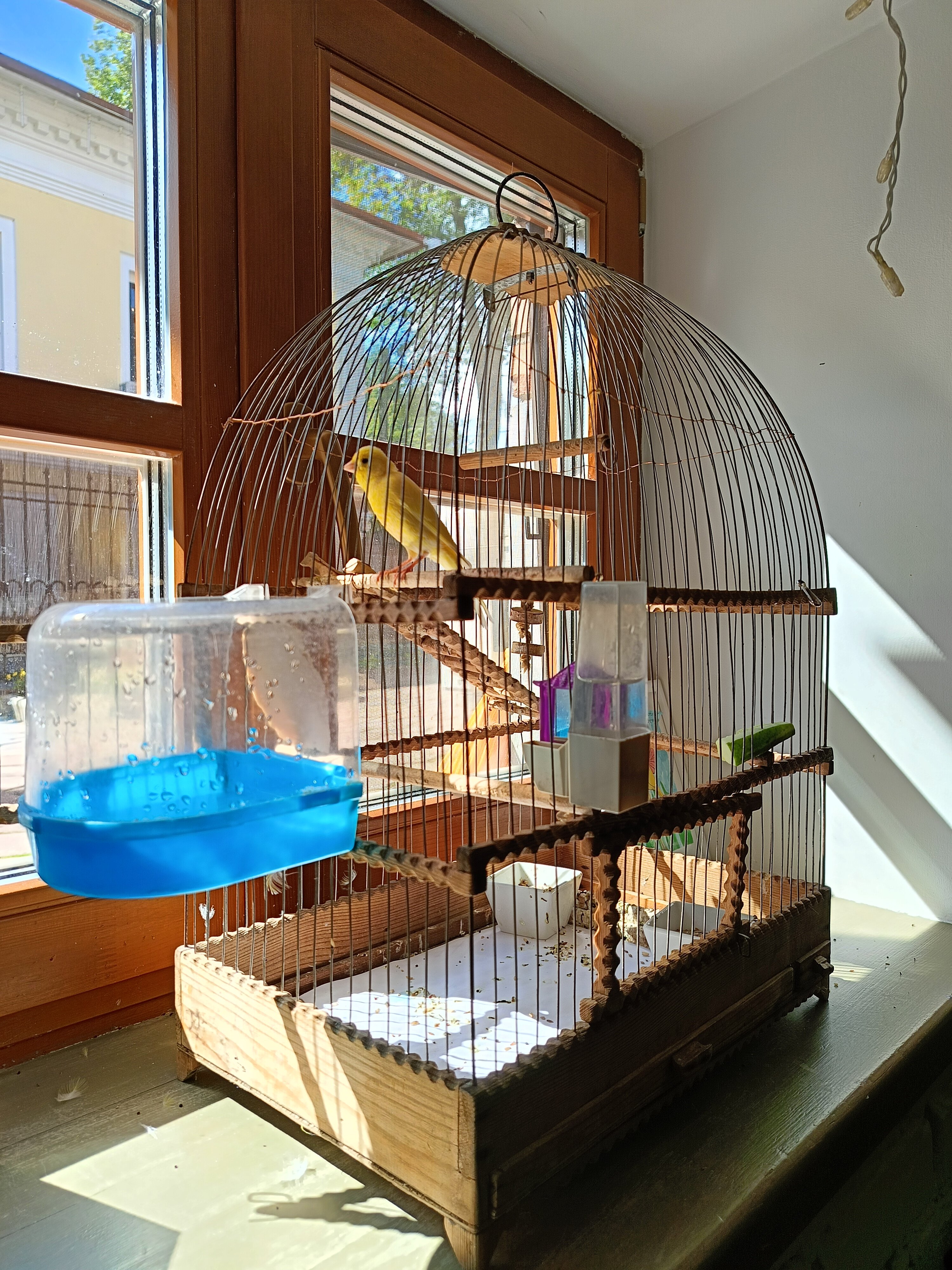 Фото Скворечник