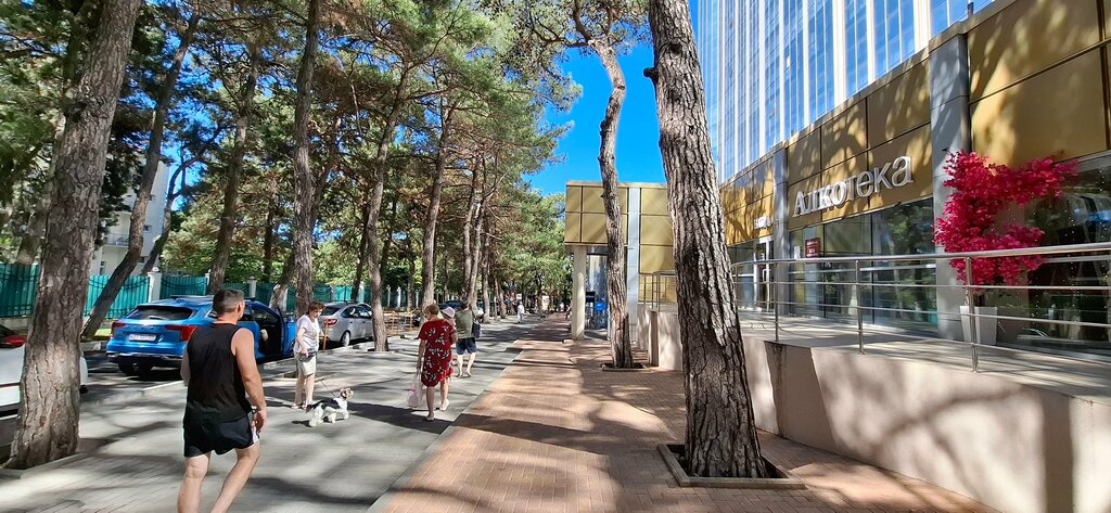 Alcoholic beverages Alkoteka, Gelendgik, photo