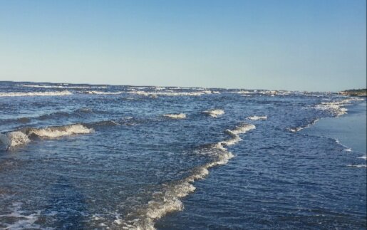 Фото Самурский рай