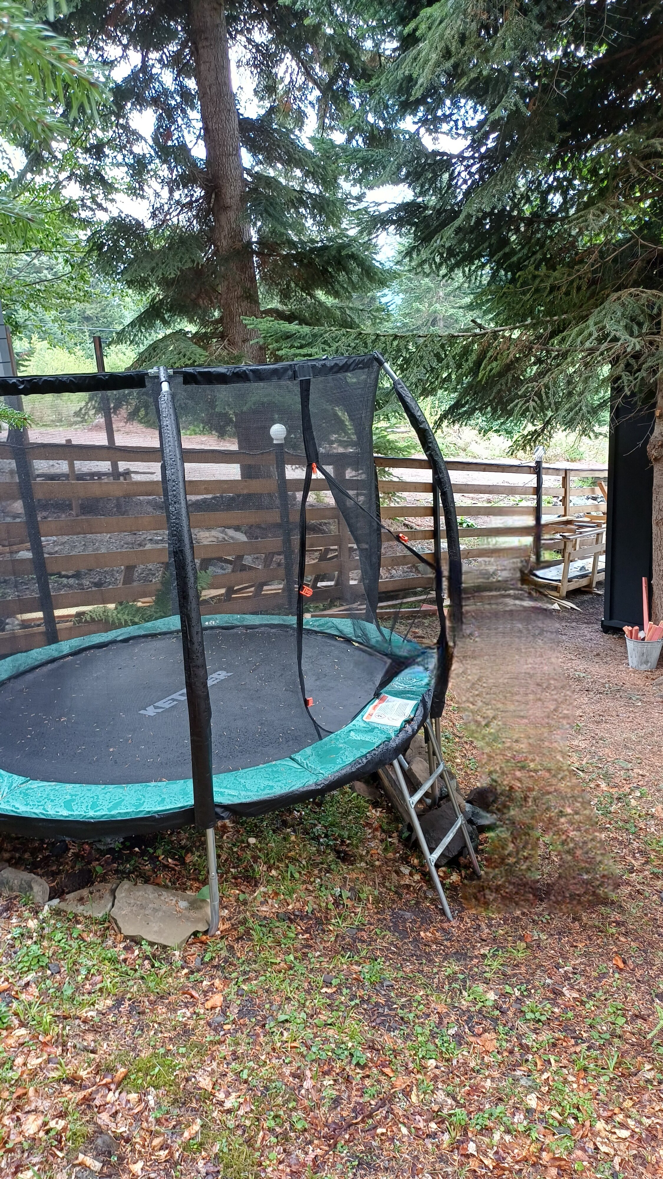 Фото Мимино