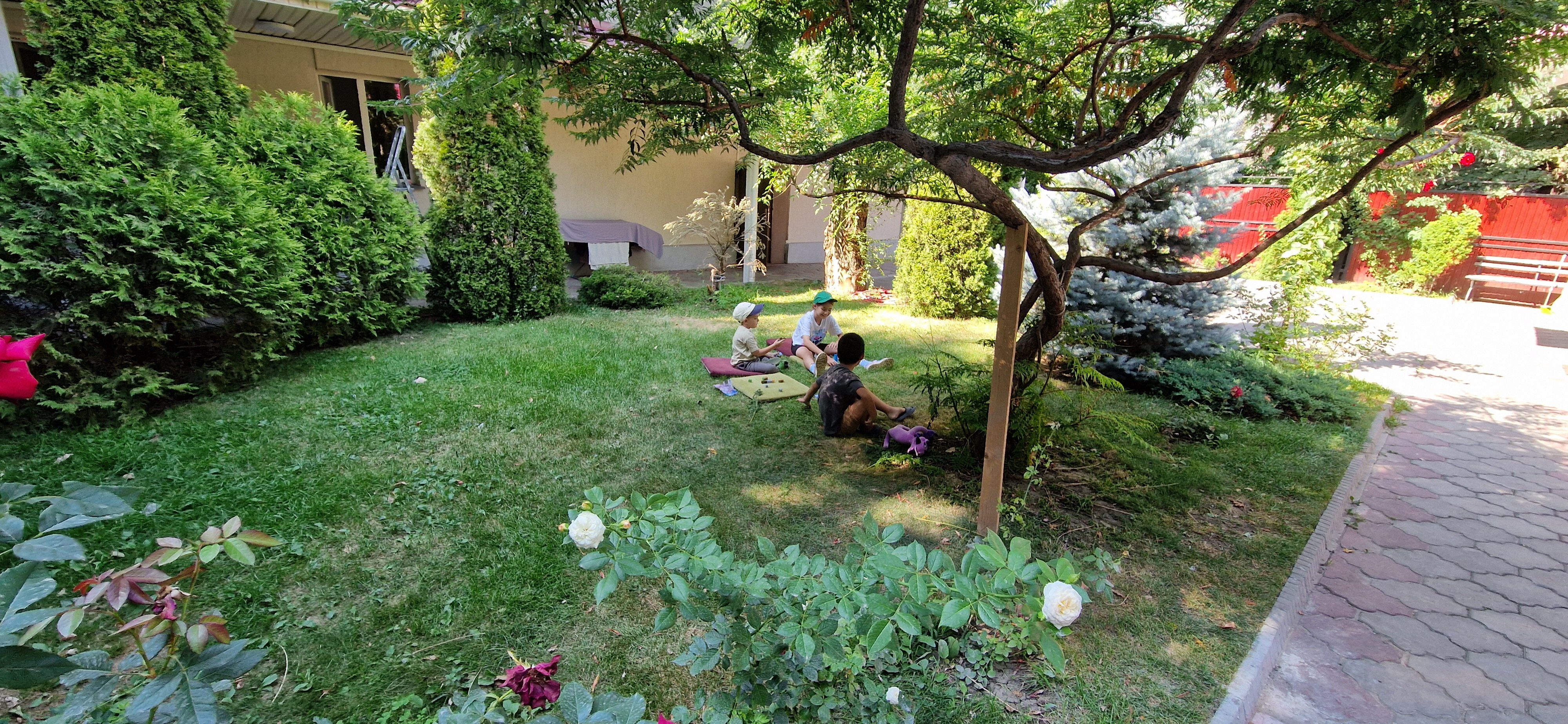 Фото FiveSeasons