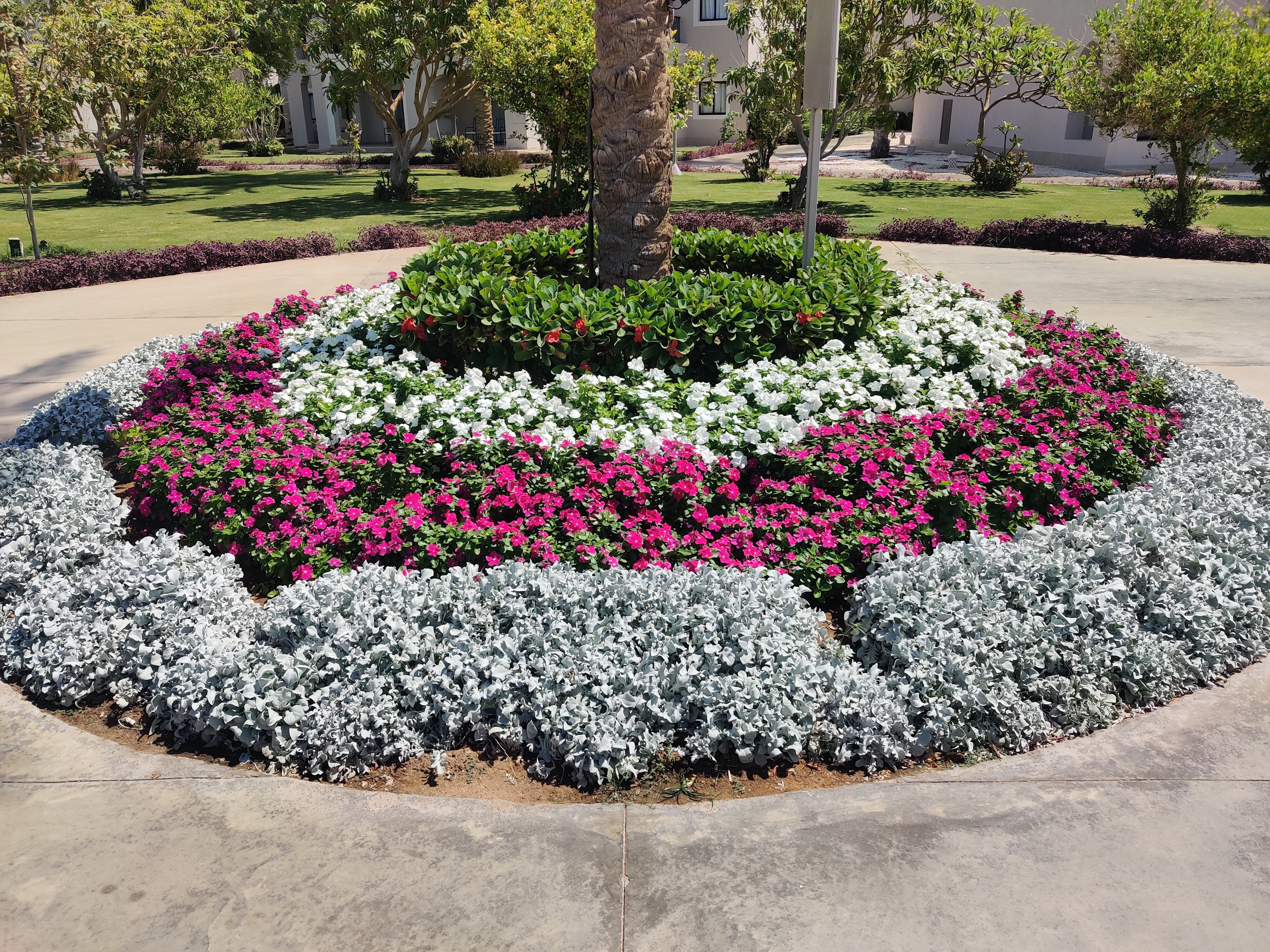 Фото Steigenberger Alcazar