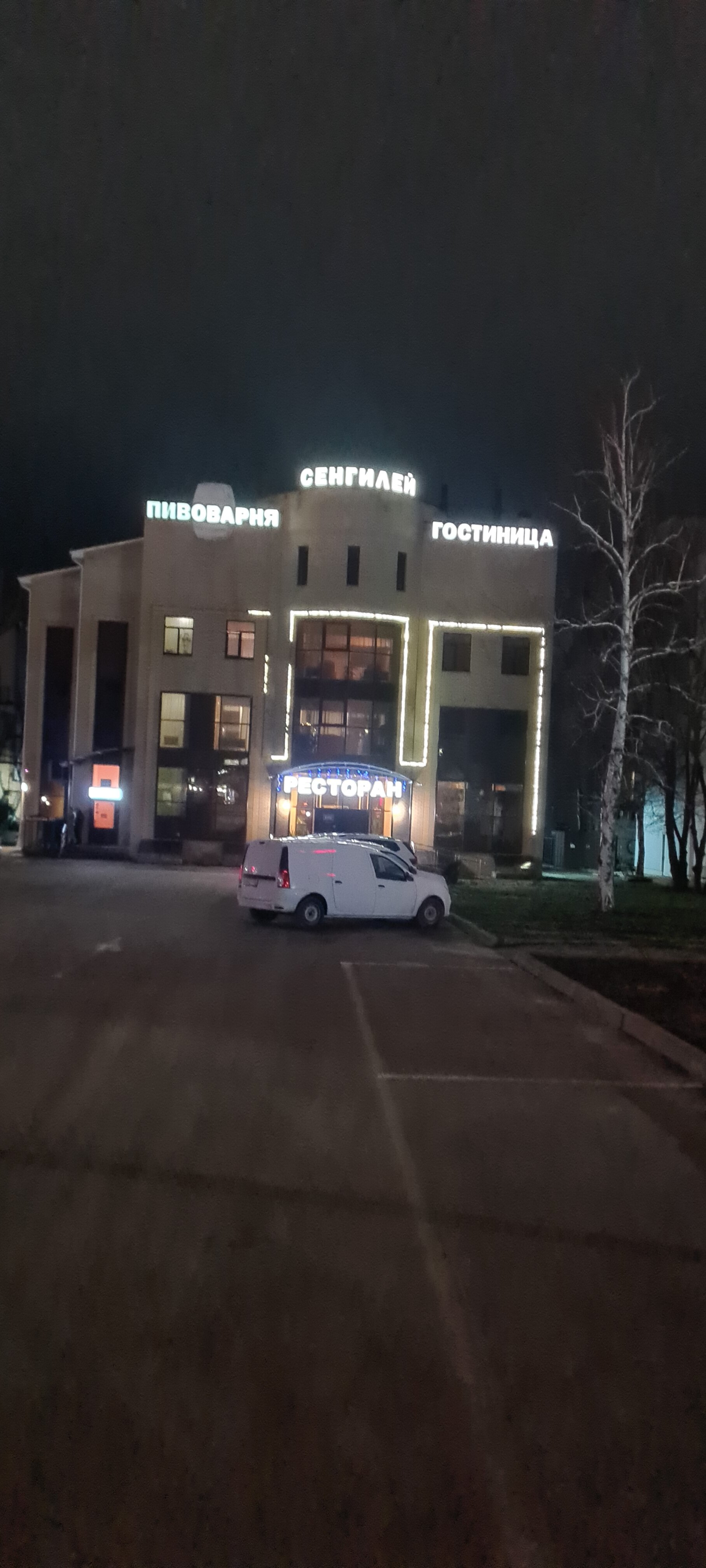 Фото Сенгилей