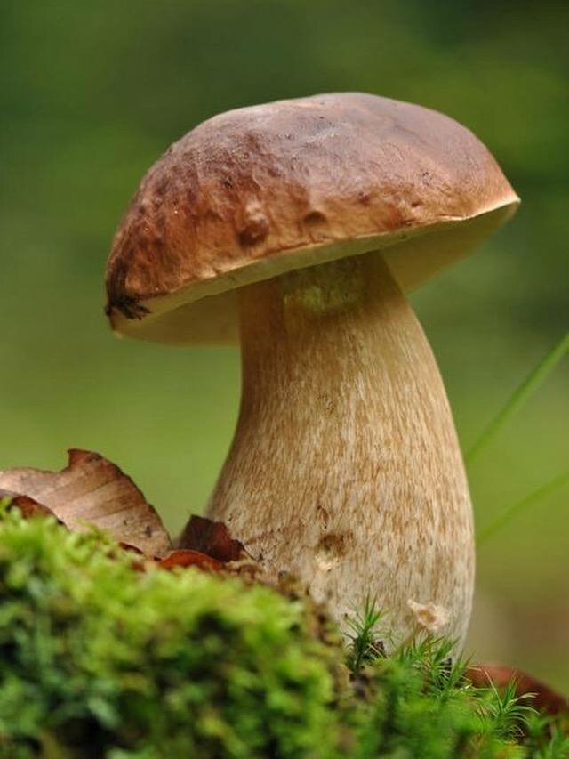 Фото Горки47