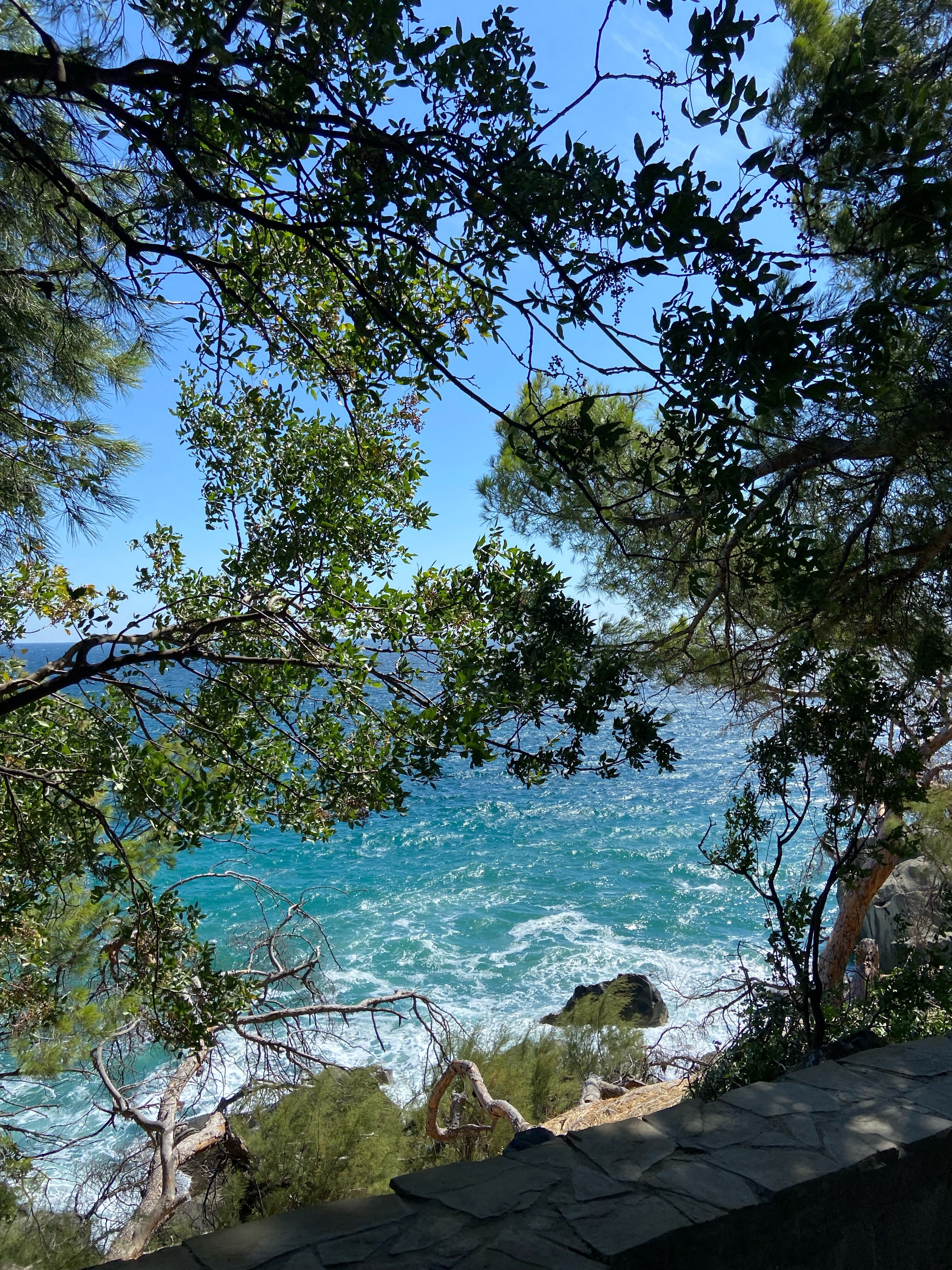 Фото Усадьба у графского парка