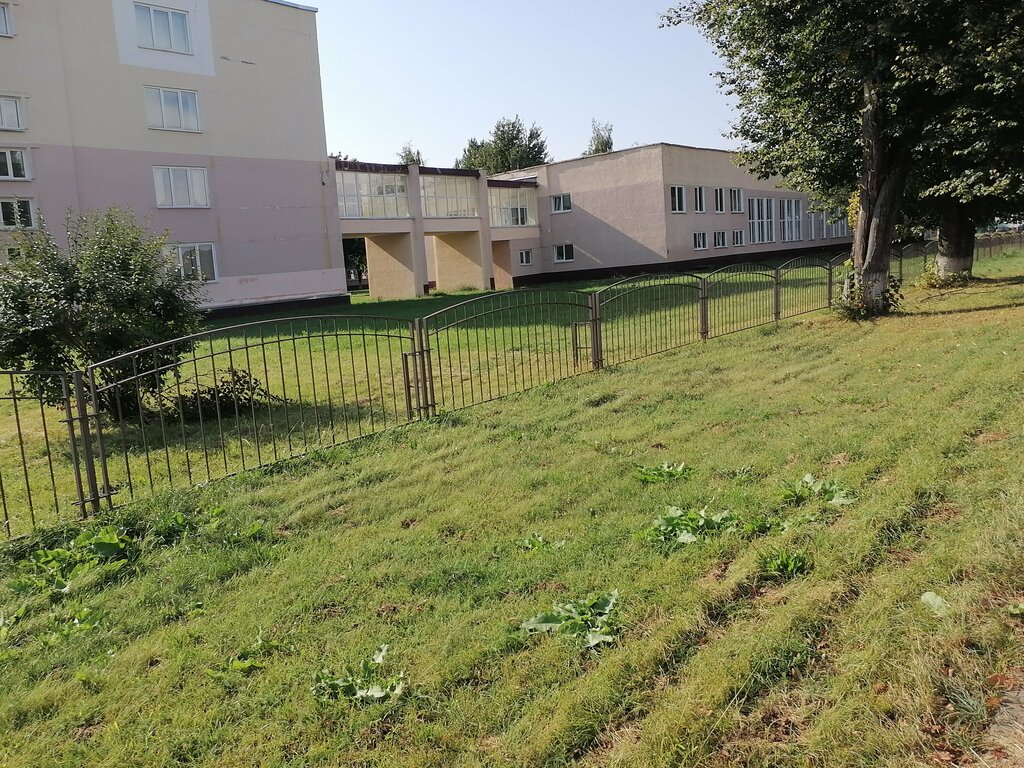 College Litsey № 12 Professionalny Gosudarstvenny Uo, Shklov, photo