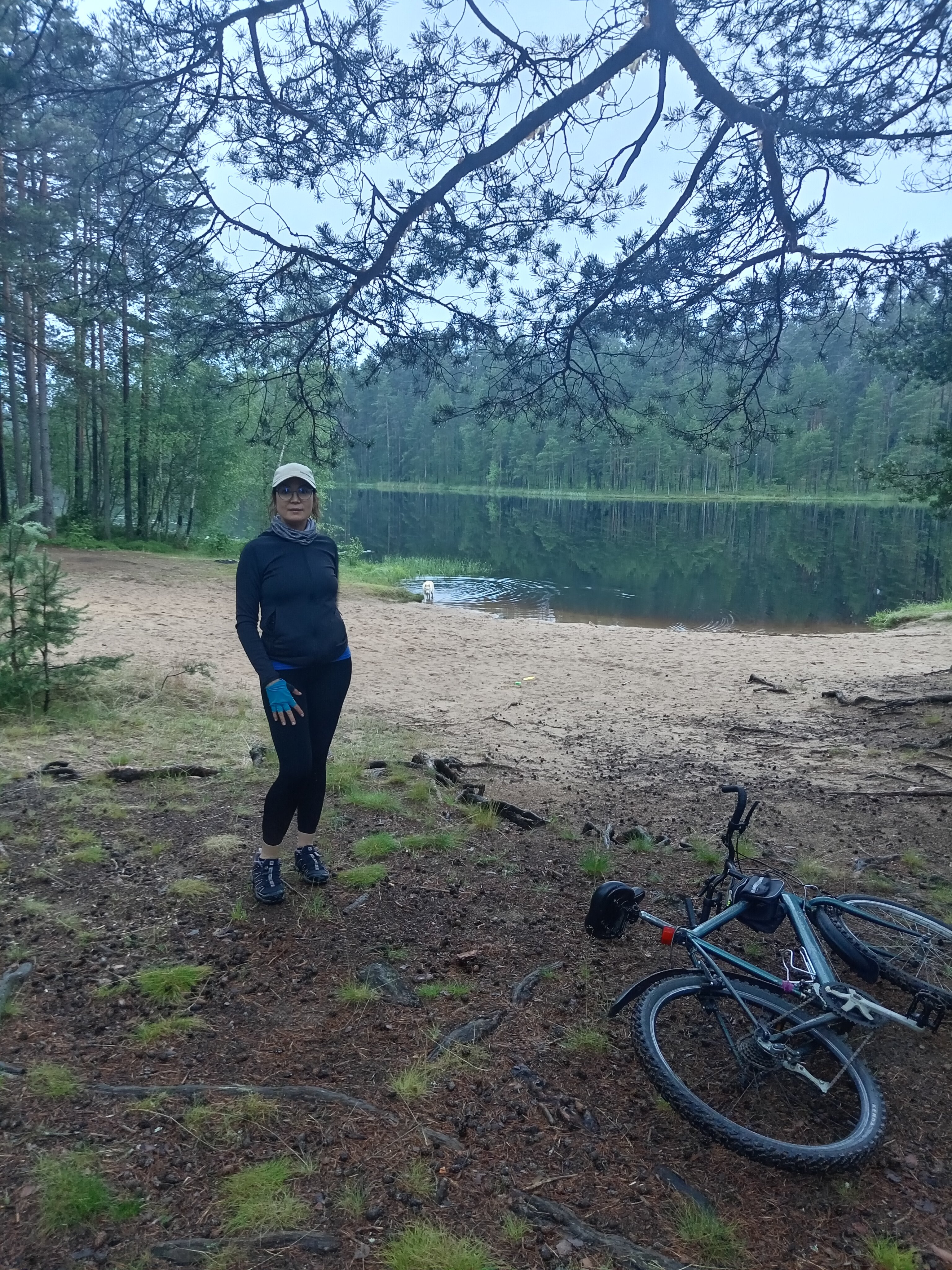 Фото Гармония