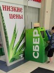 Sberbank of Russia (Marshala Zhukova Street, 1), atm