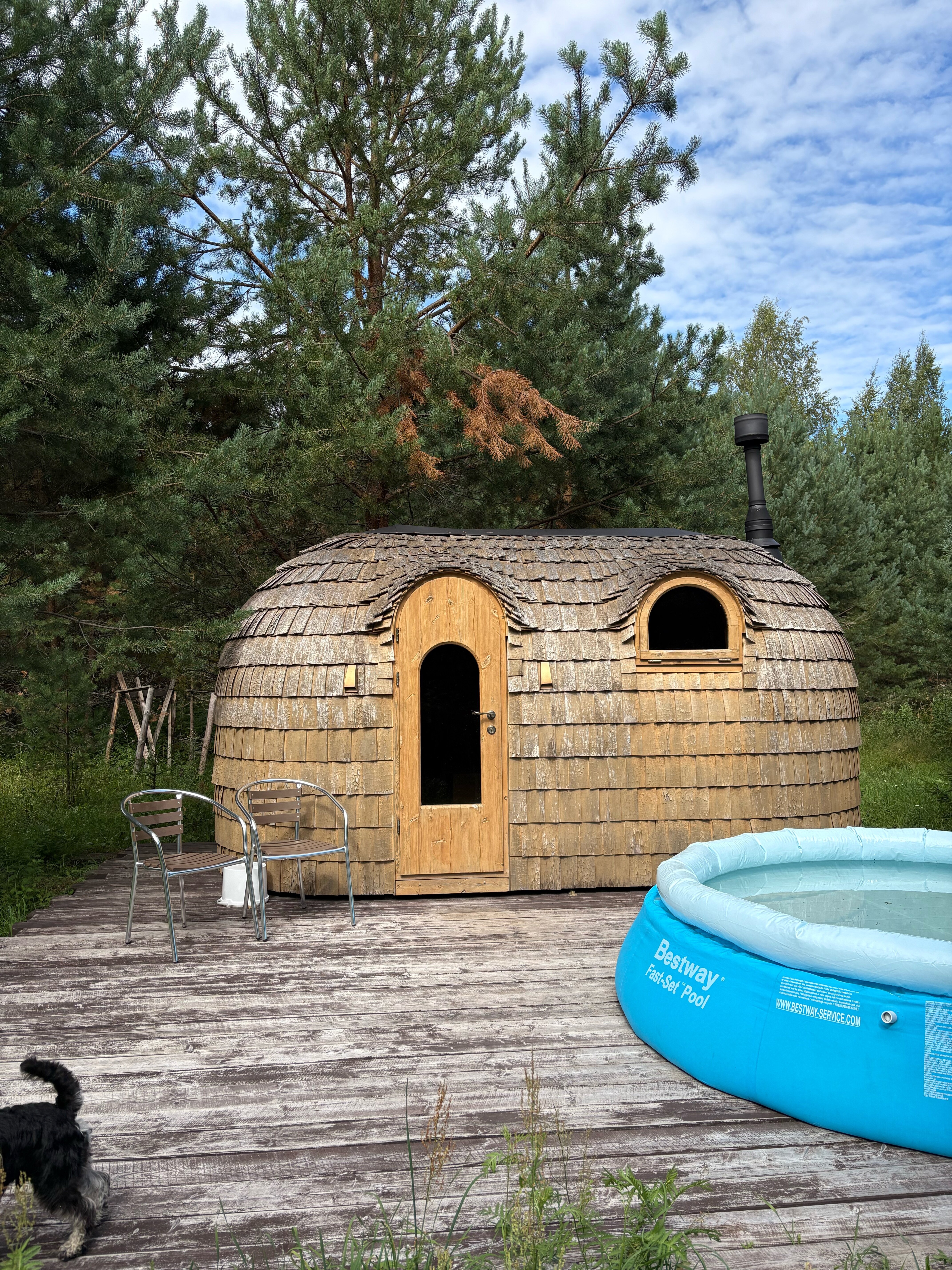 Фото Домики под соснами