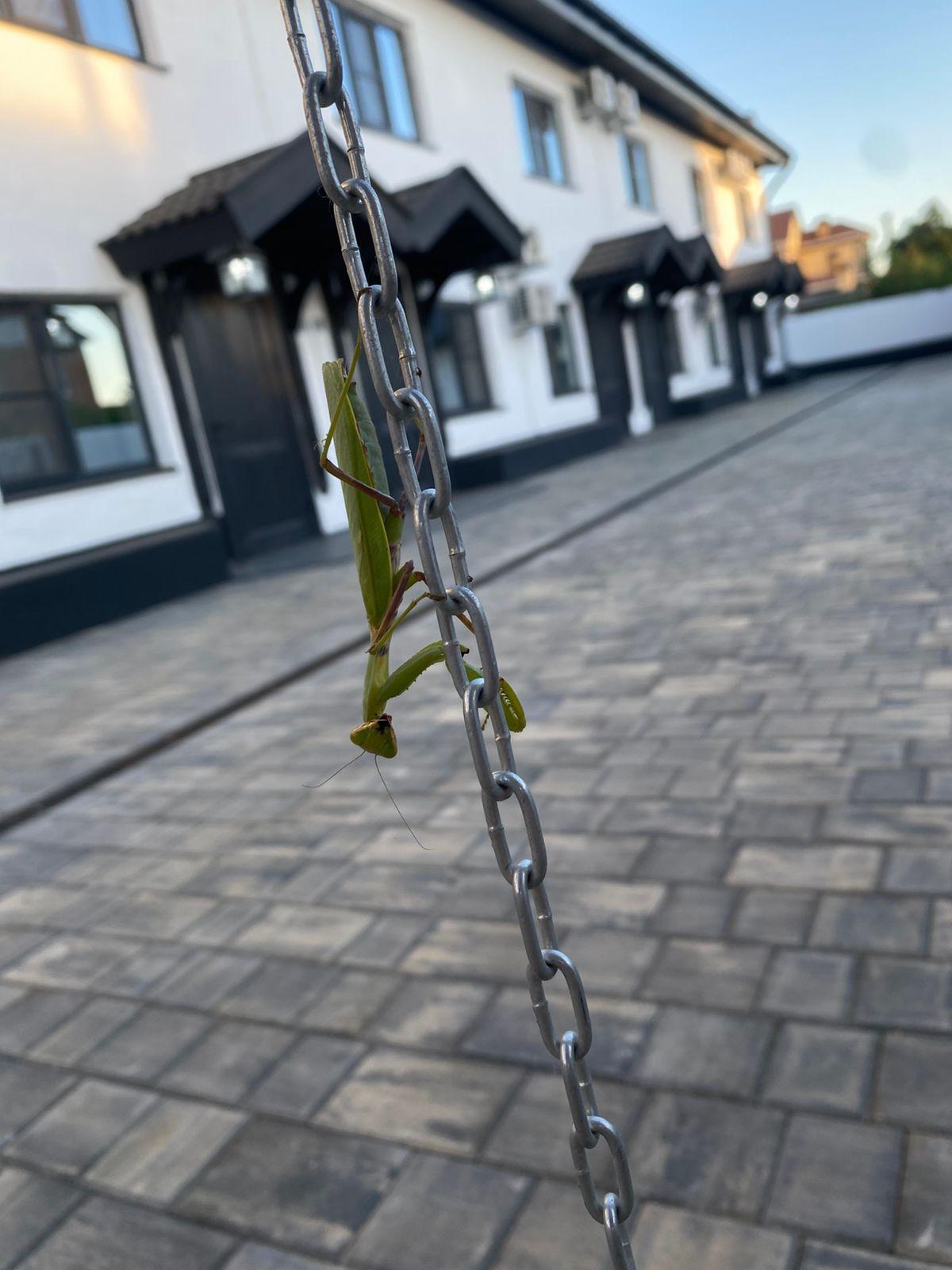 Фото Лермонтов