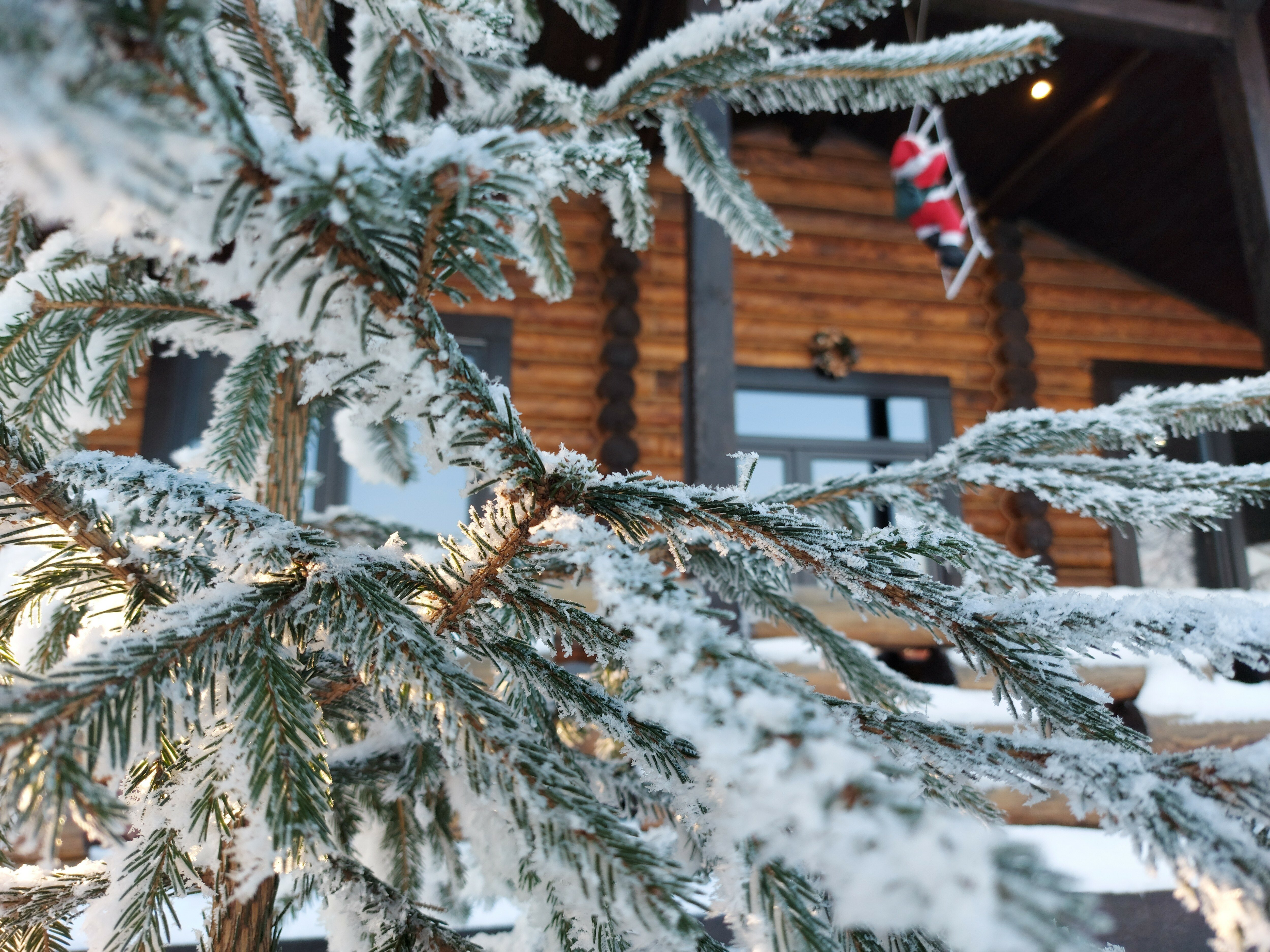 Фото ДеревняЛевково.рф