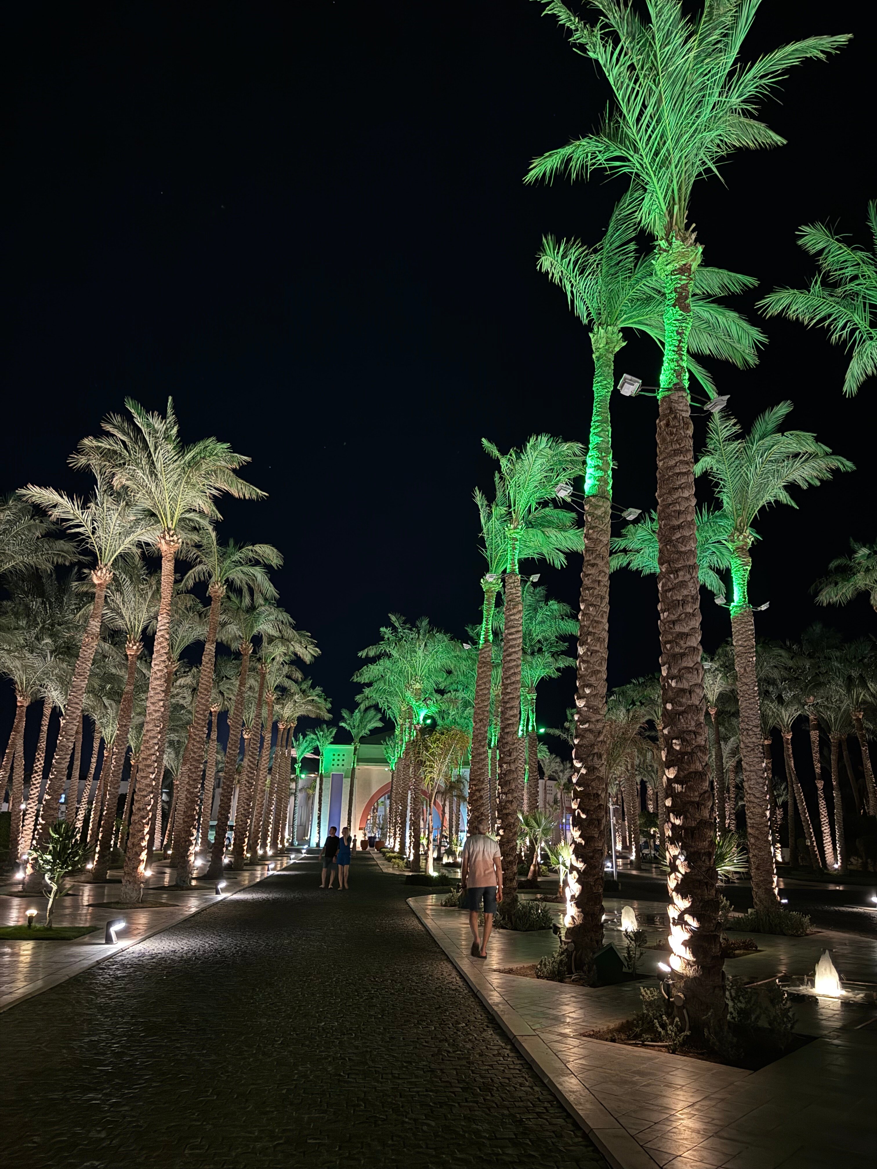 Фото Grand Rotana Resort & SPA 