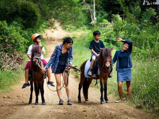 Фото Hillside - Nature Lifestyle Lodge