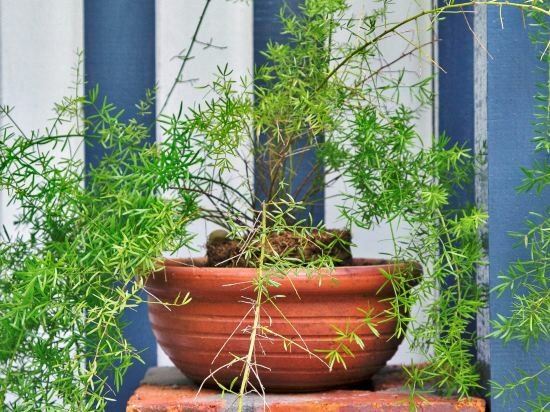 Фото Redstone Boutique Hotel Kuala Lumpur