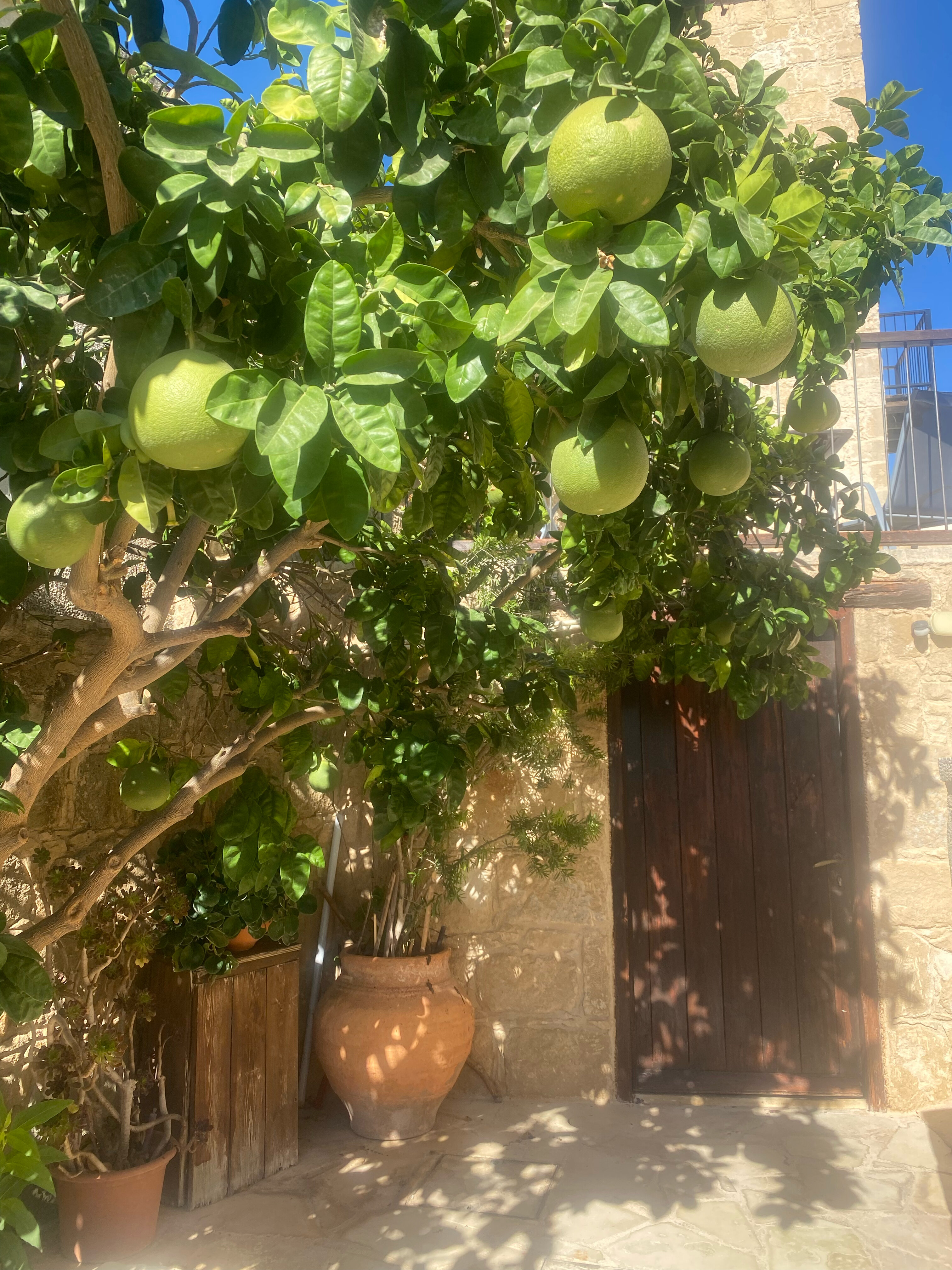 Фото Leonidas Village Houses