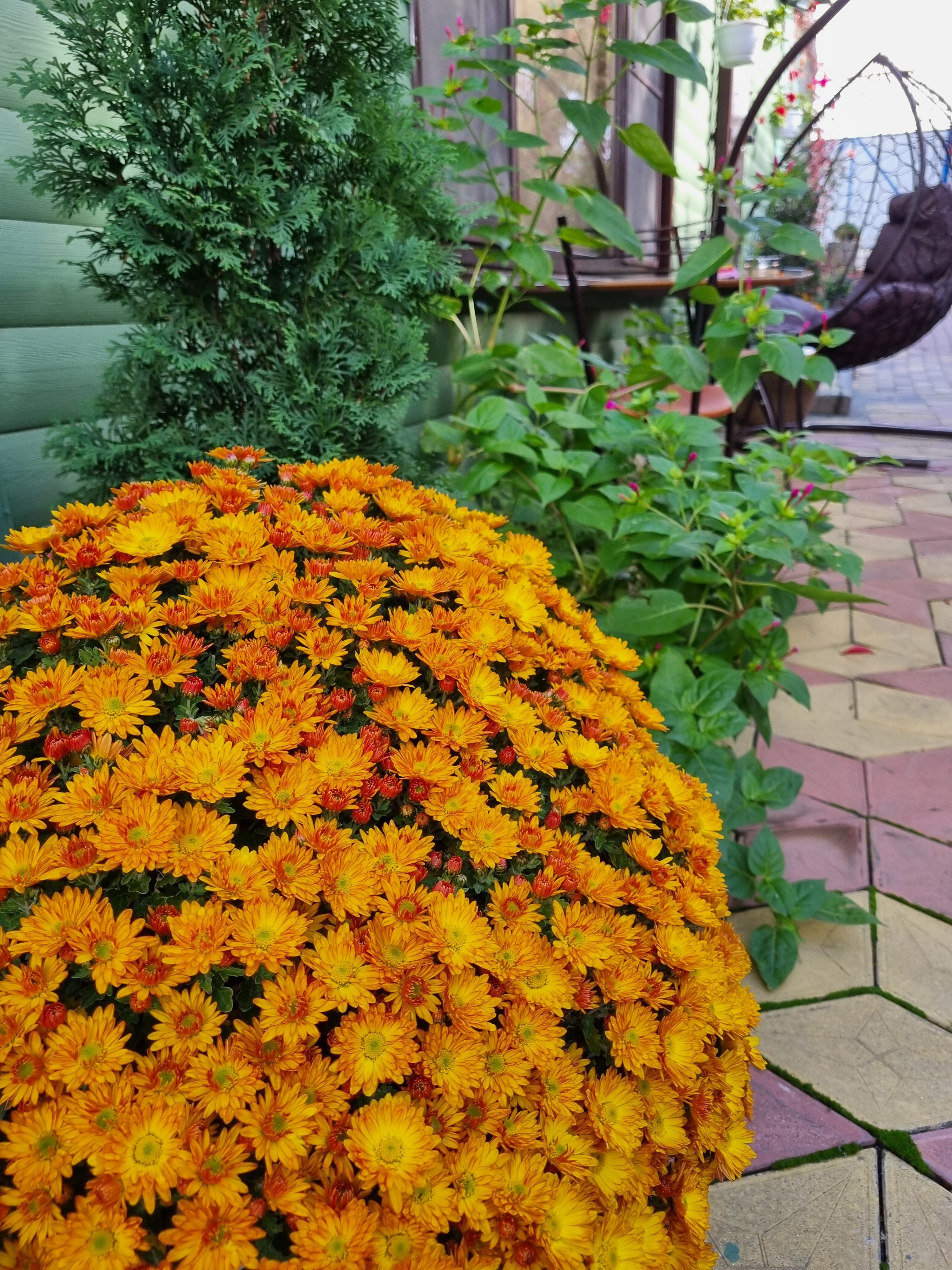 Фото Green House