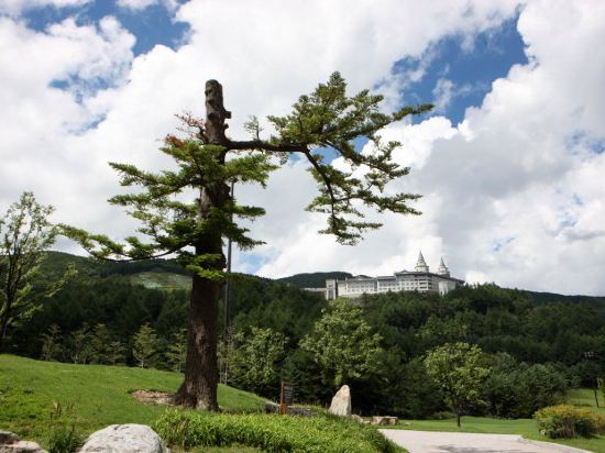 Фото High1 Palace Hotel & Cc