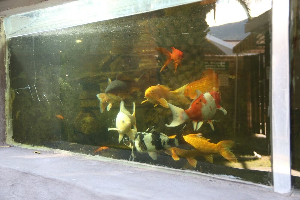 Фото Aan Die Oewer Guest House